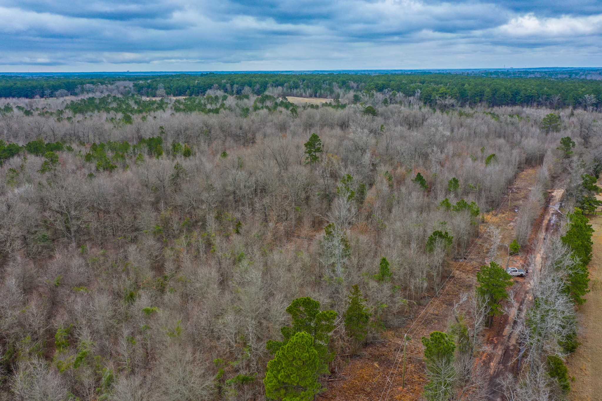 Tbd Mistletoe Road Gilmer TX 75644