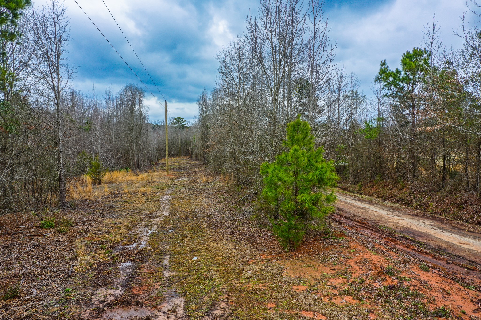 Tbd Mistletoe Road Gilmer TX 75644
