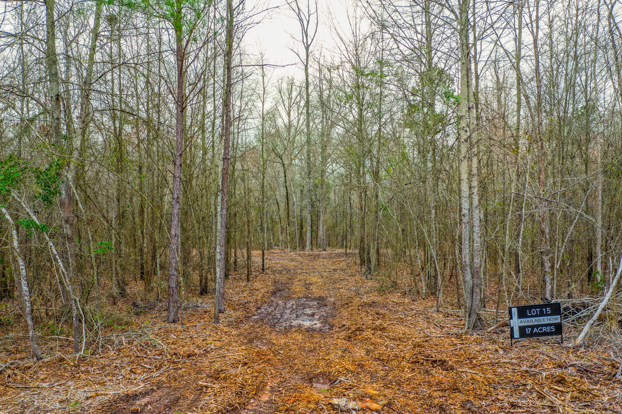 Tbd Mistletoe Road Gilmer TX 75644