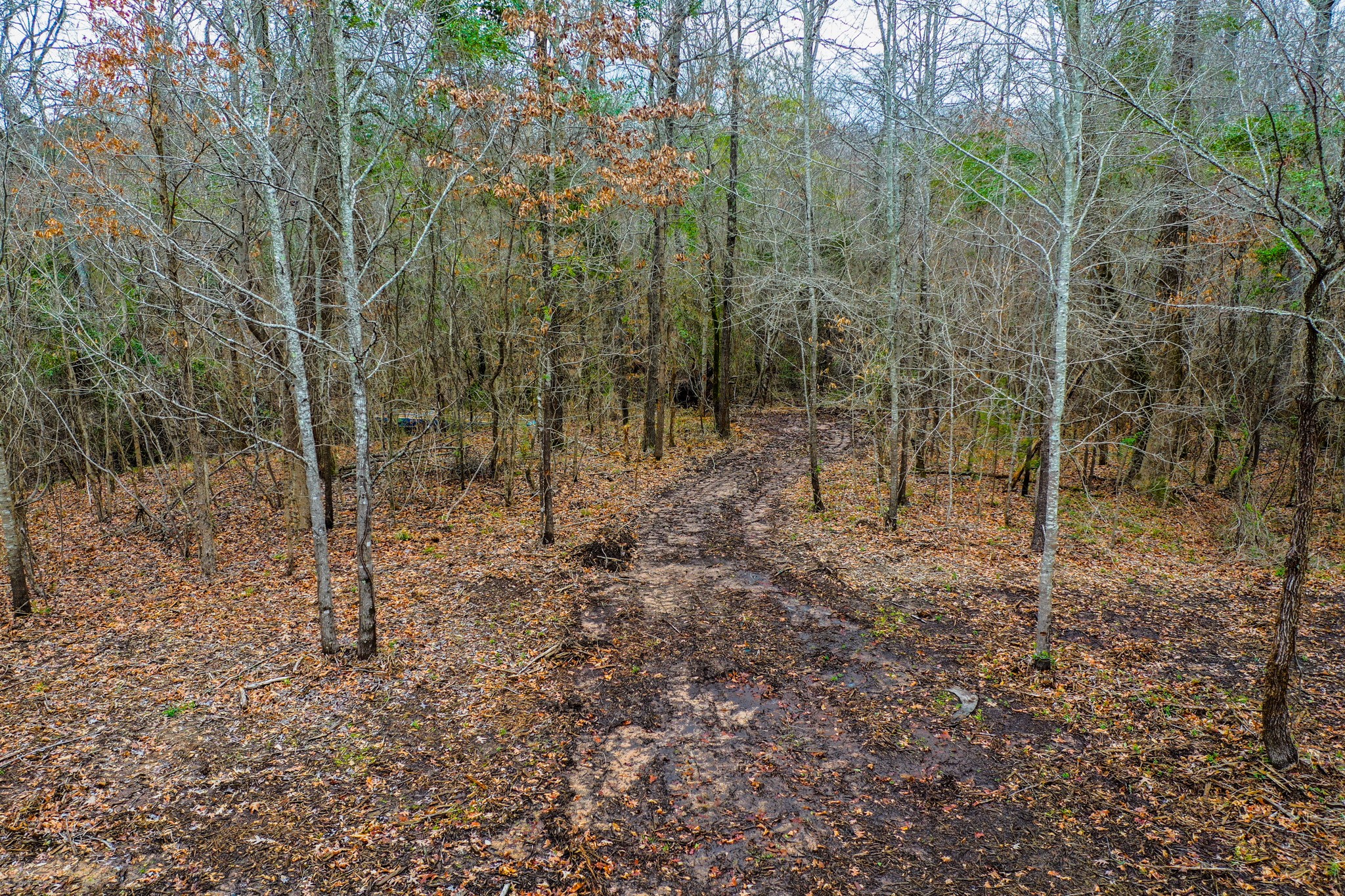 Tbd Mistletoe Road Gilmer TX 75644