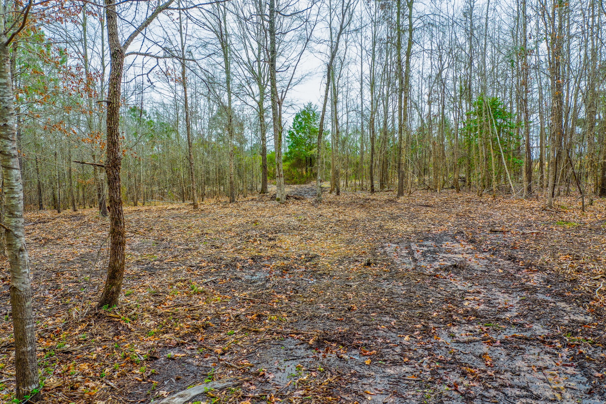 Tbd Mistletoe Road Gilmer TX 75644