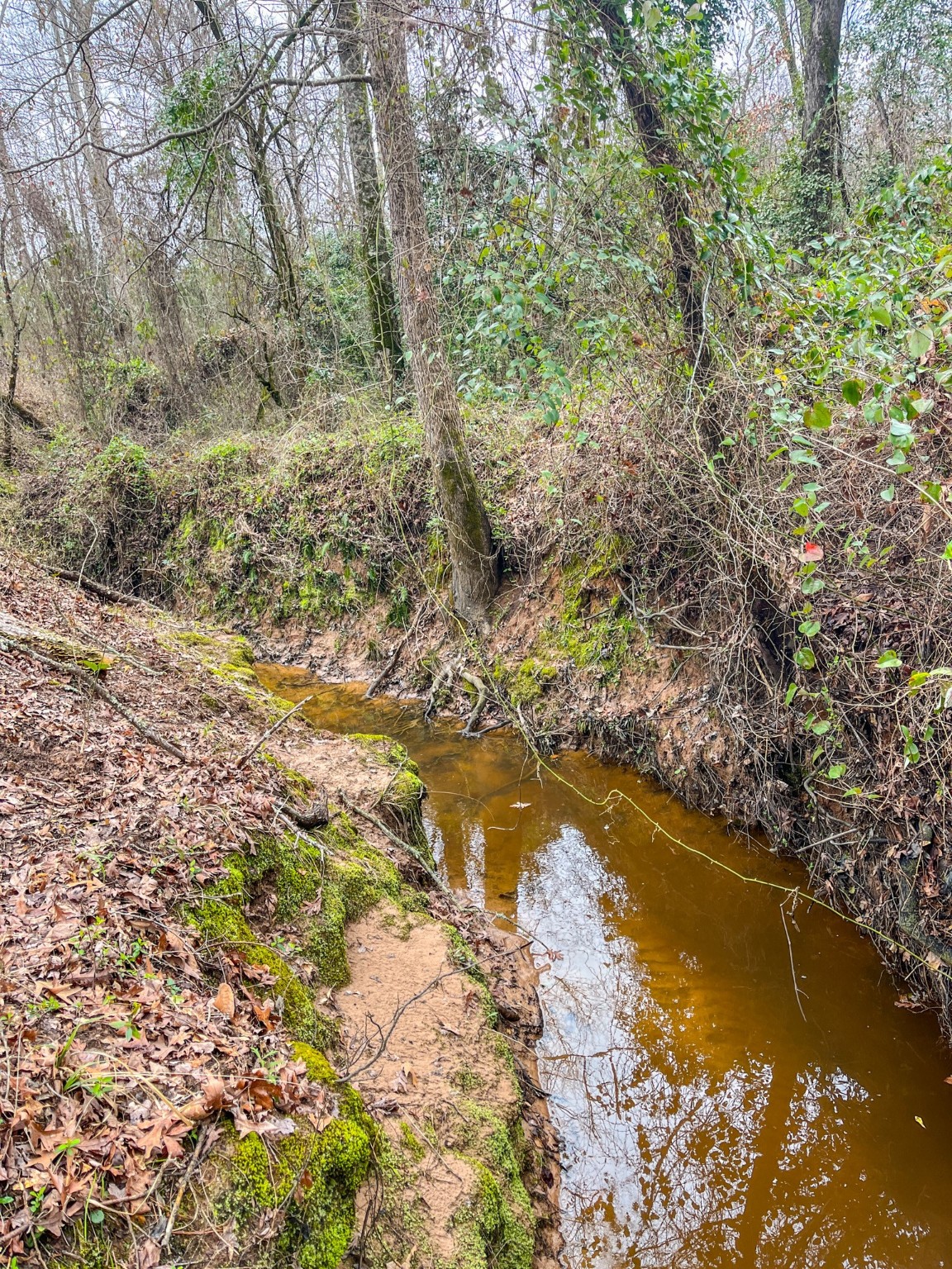 Tbd Mistletoe Road Gilmer TX 75644