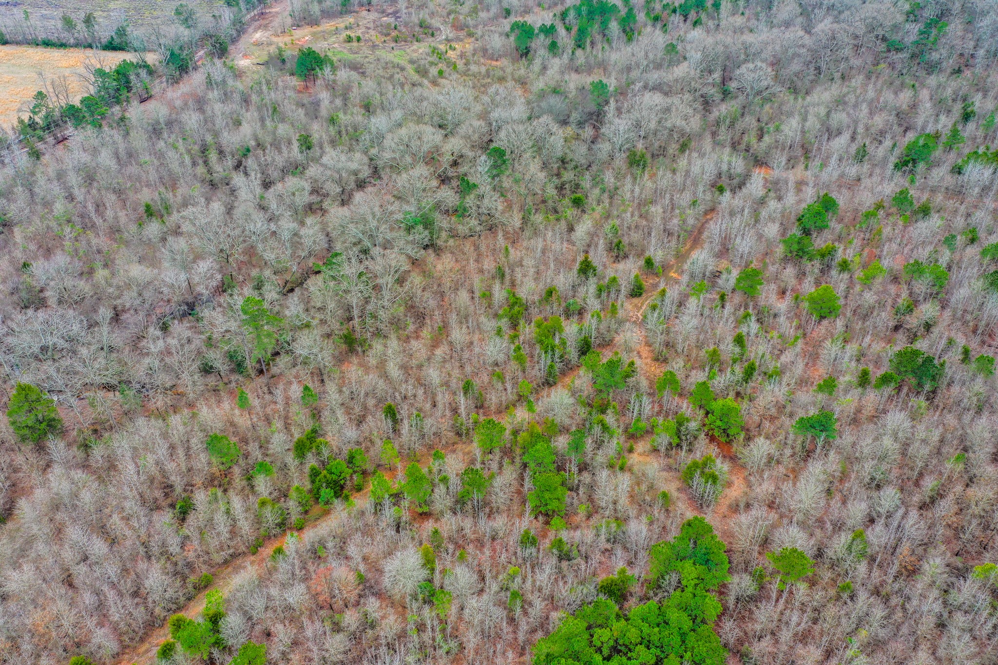 Tbd Mistletoe Road Gilmer TX 75644