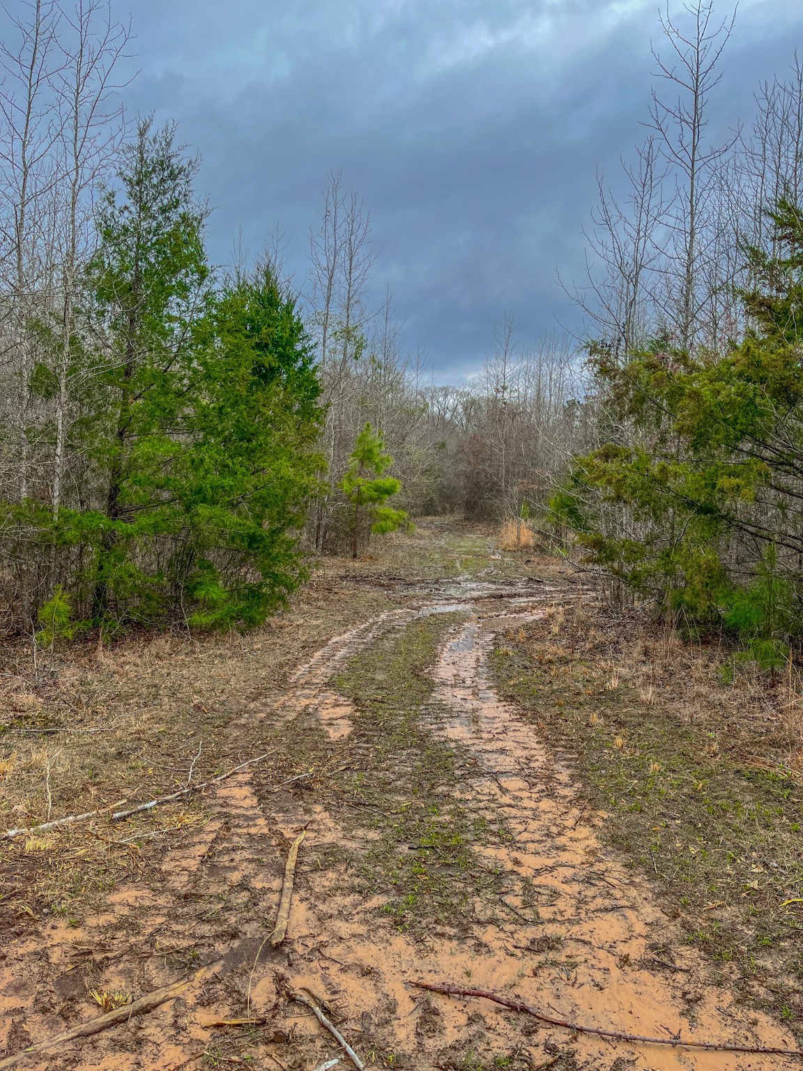 Tbd Mistletoe Road Gilmer TX 75644