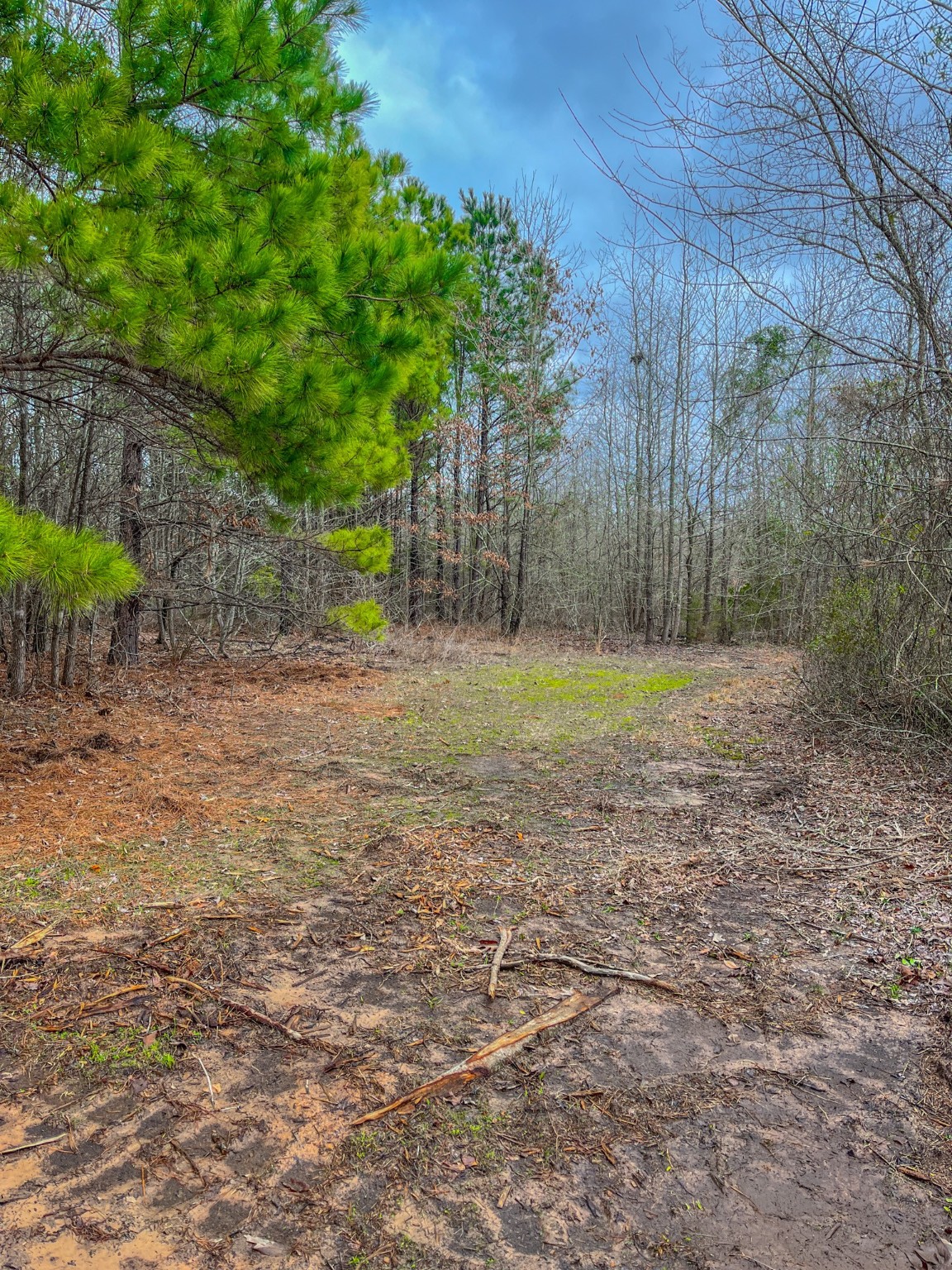 Tbd Mistletoe Road Gilmer TX 75644