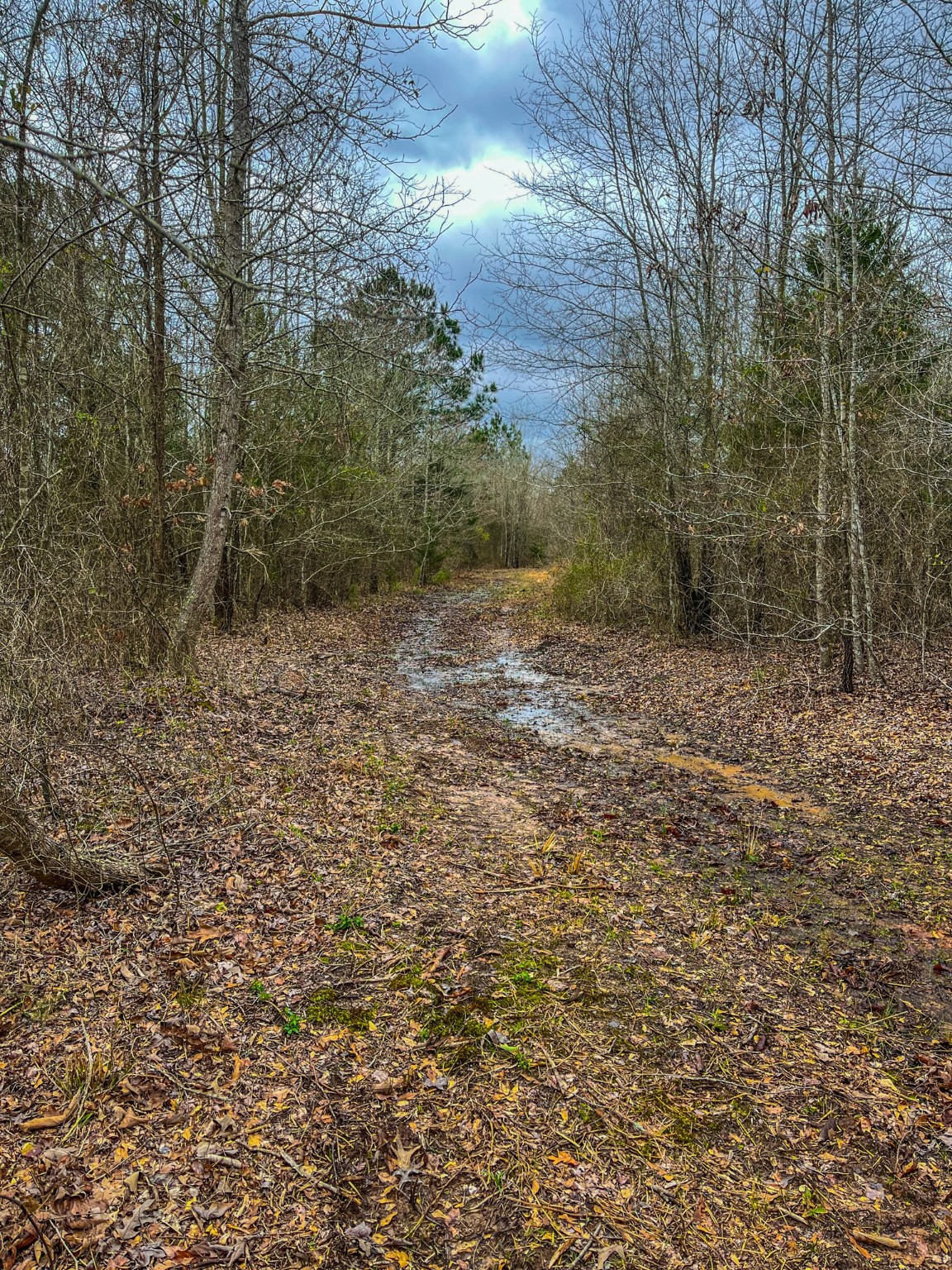 Tbd Mistletoe Road Gilmer TX 75644
