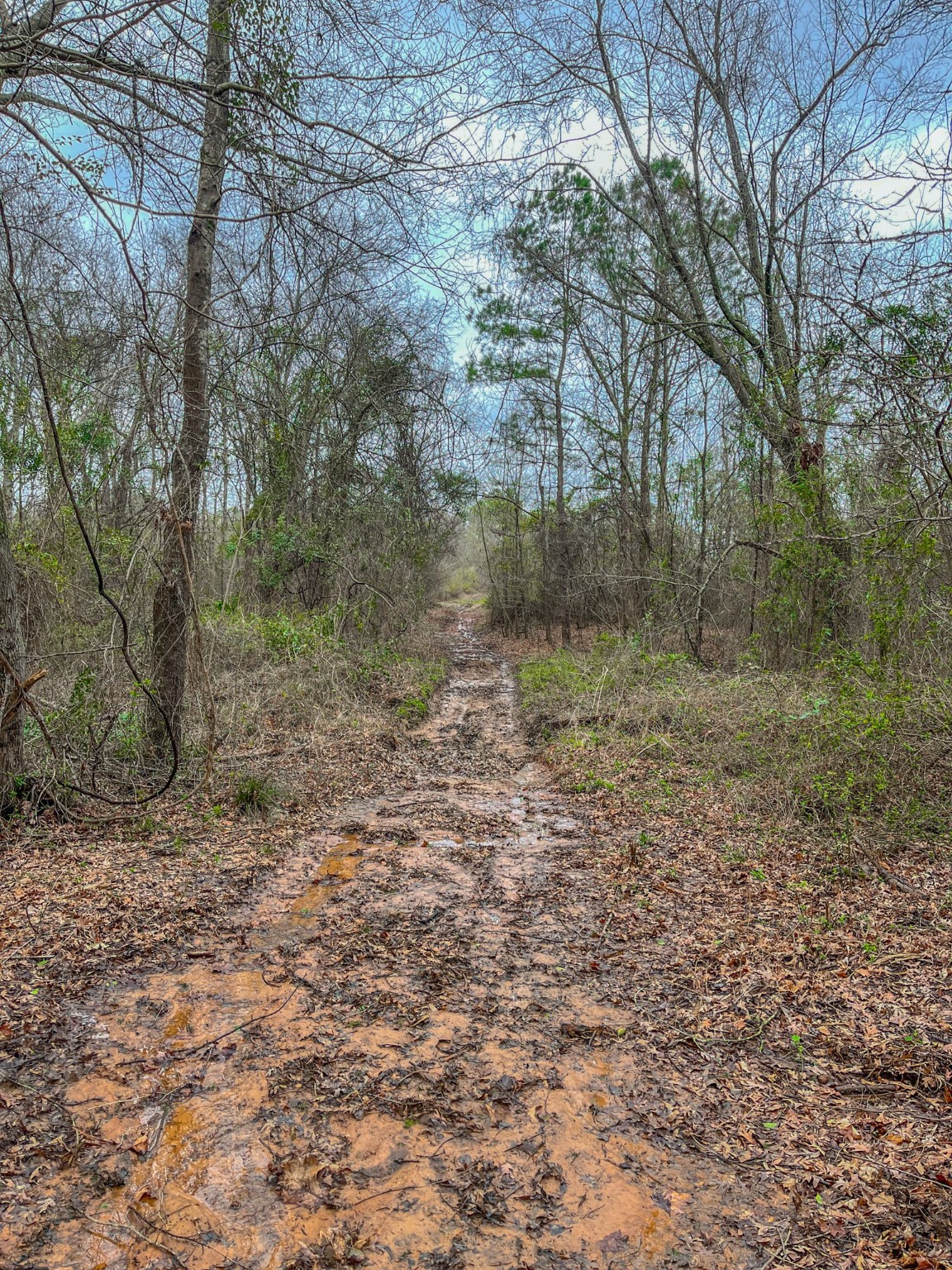 Tbd Mistletoe Road Gilmer TX 75644