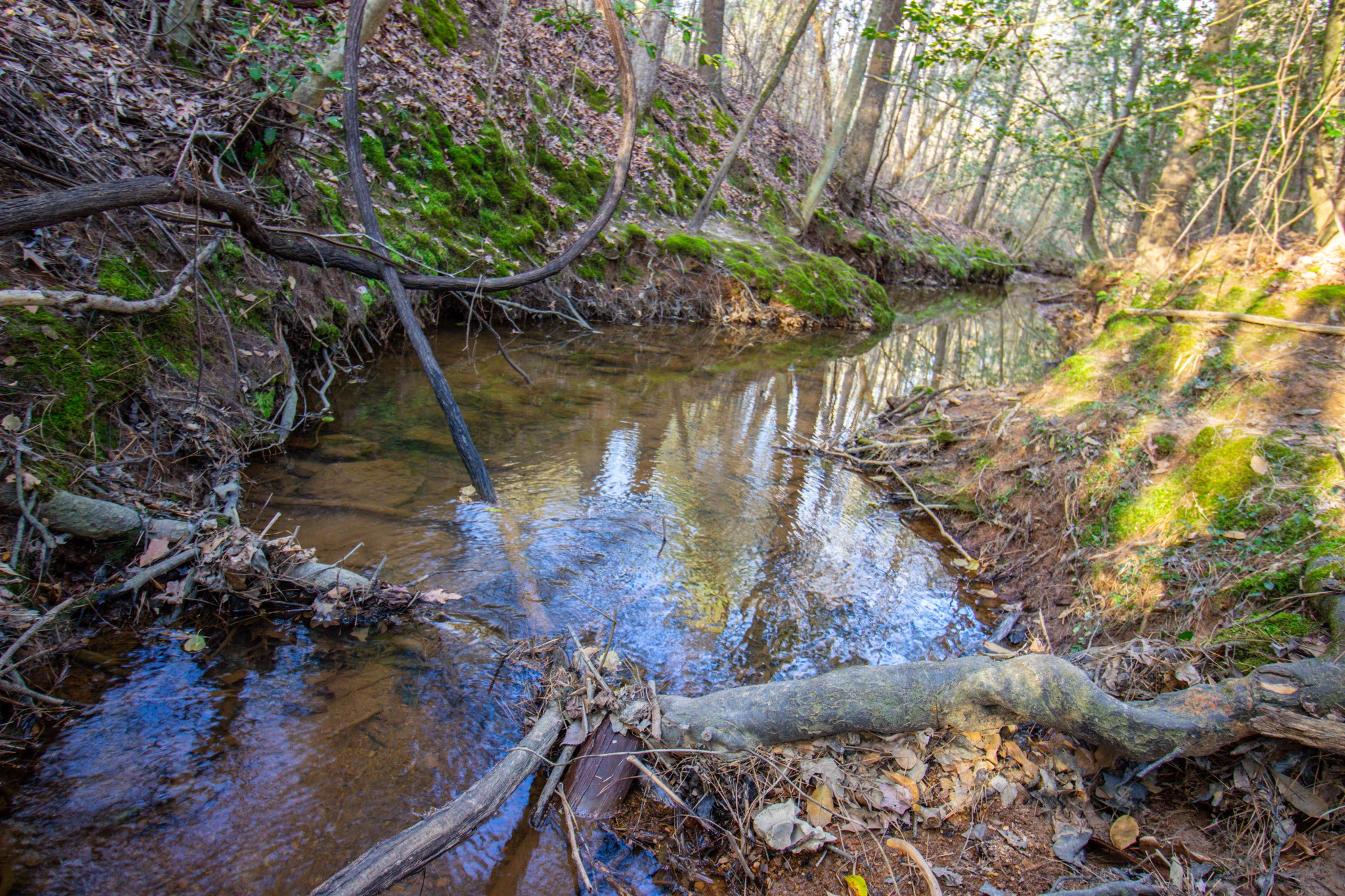 Tbd Mistletoe Road Gilmer TX 75644