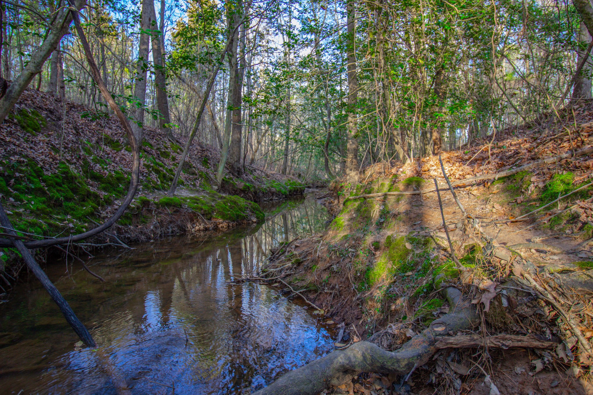Tbd Mistletoe Road Gilmer TX 75644