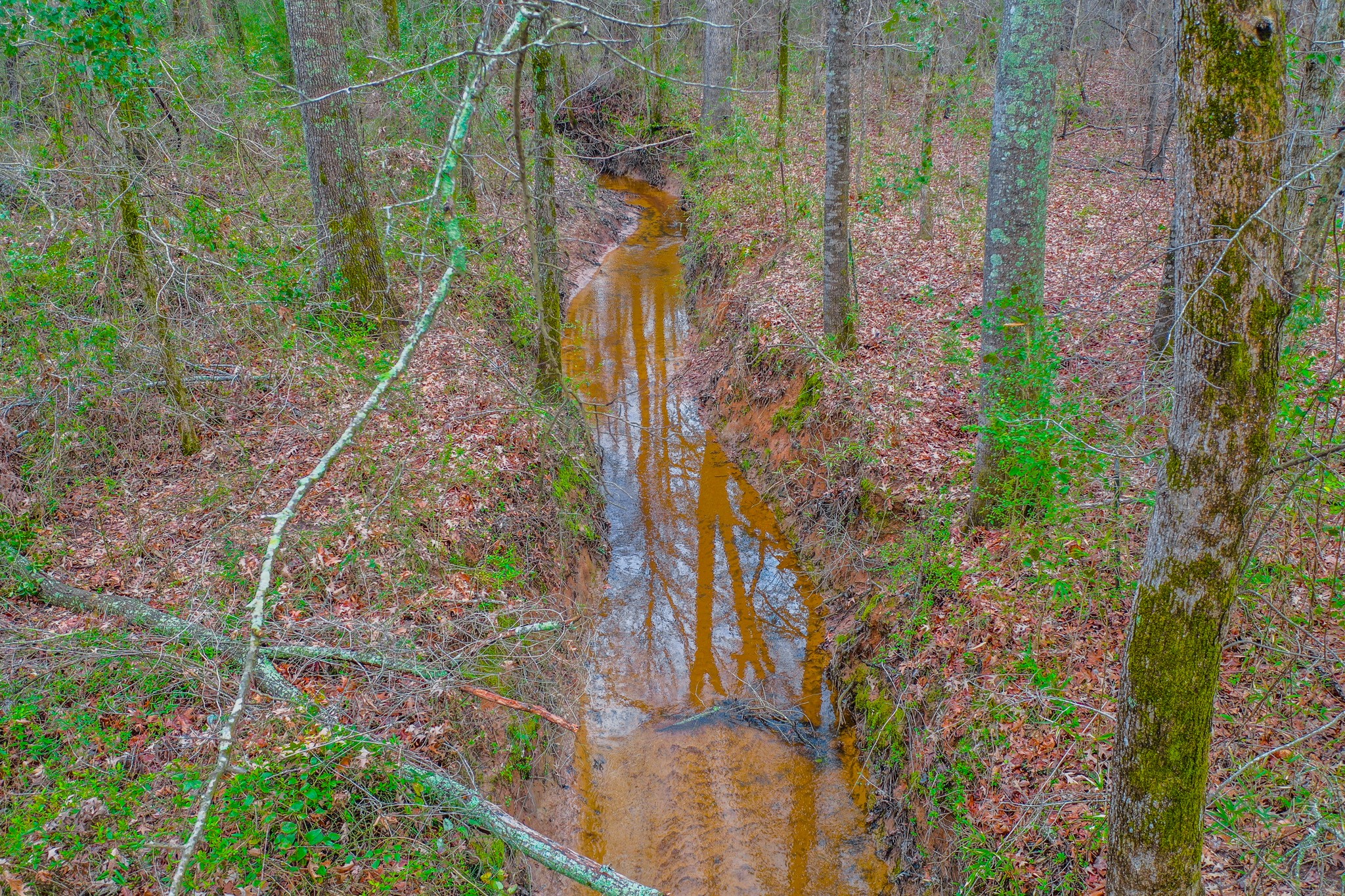 Tbd Mistletoe Road Gilmer TX 75644