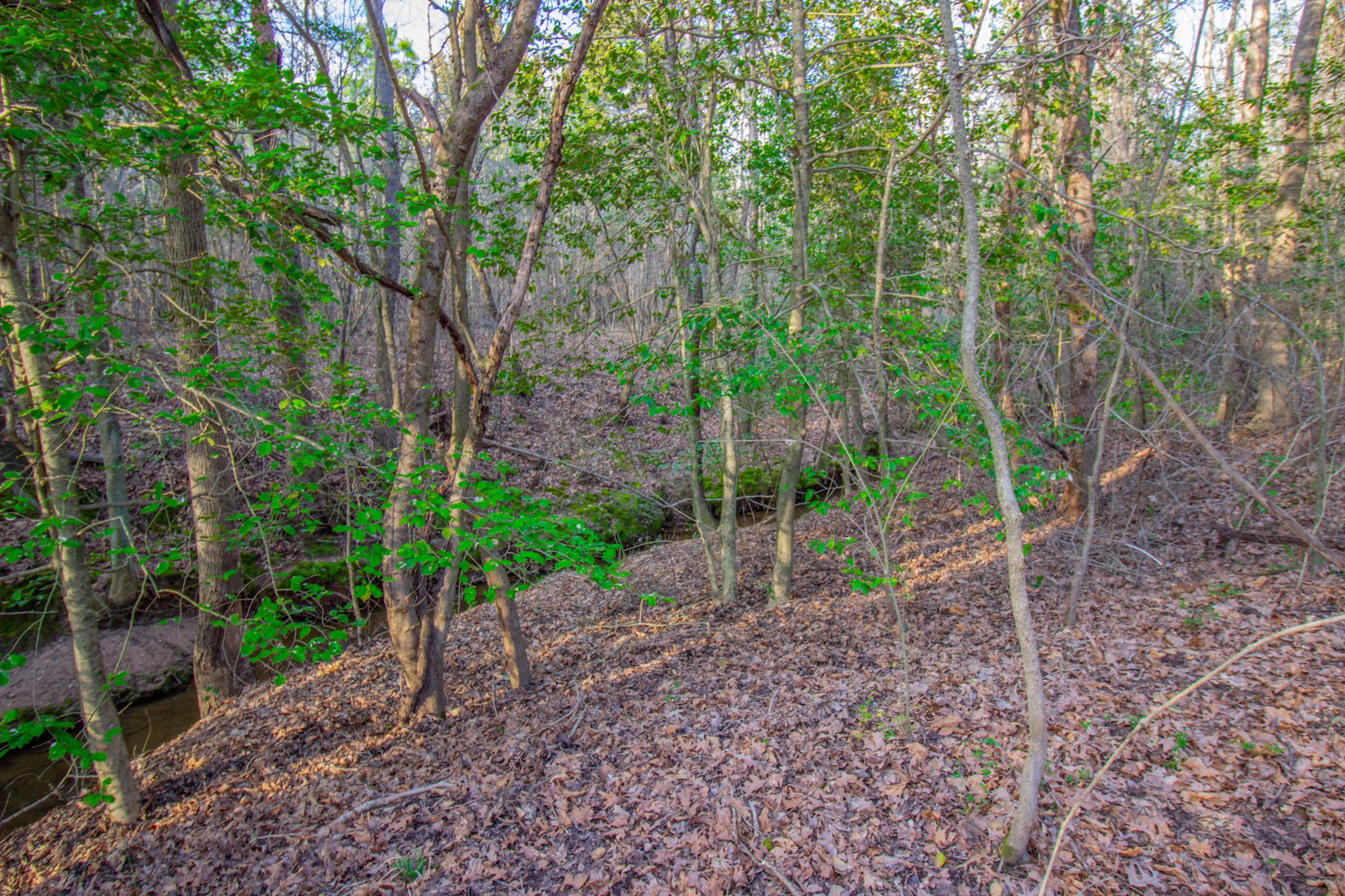 Tbd Mistletoe Road Gilmer TX 75644