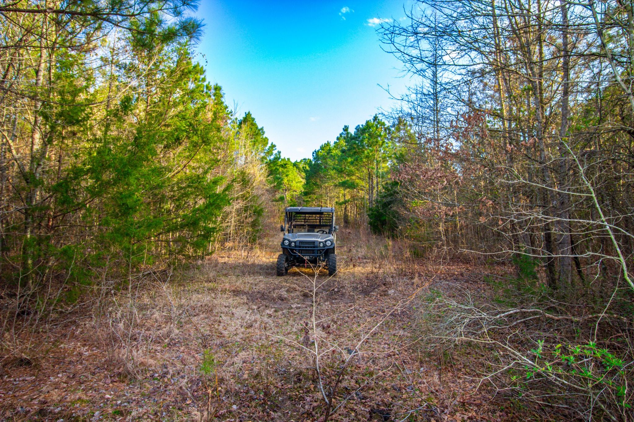 Tbd Mistletoe Road Gilmer TX 75644