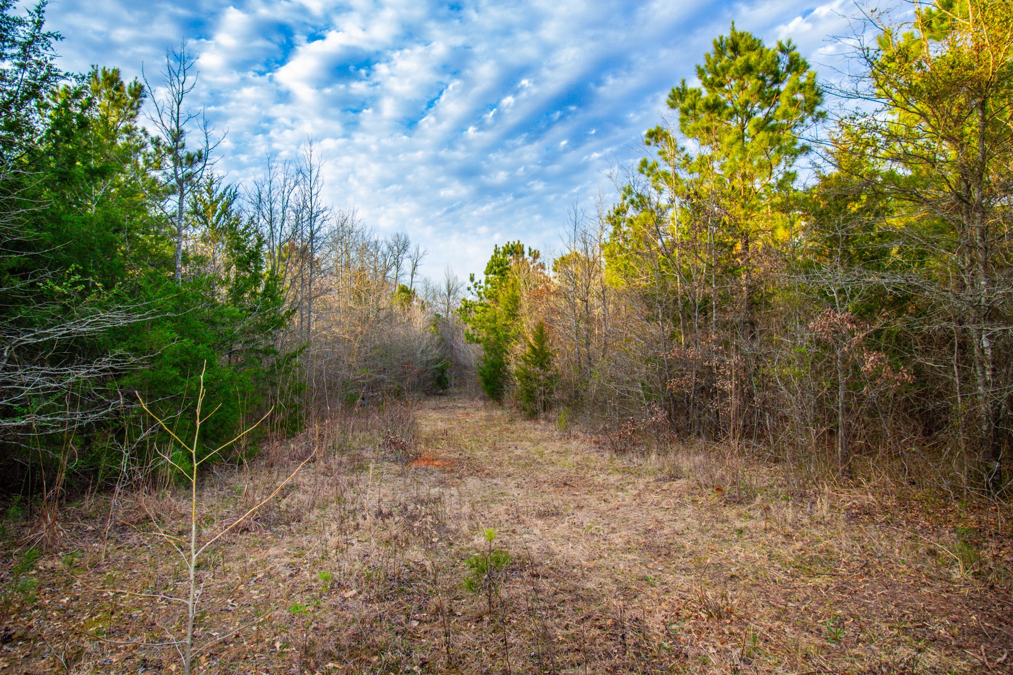 Tbd Mistletoe Road Gilmer TX 75644