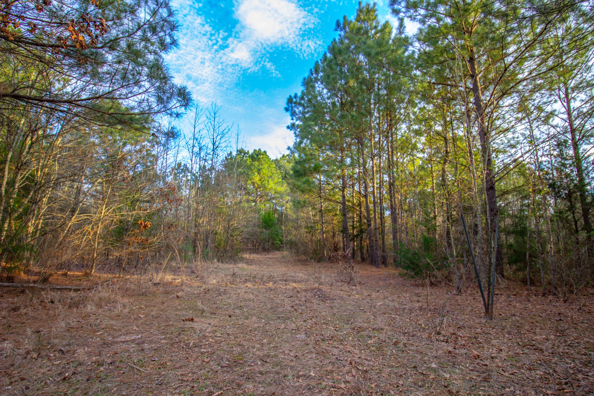 Tbd Mistletoe Road Gilmer TX 75644
