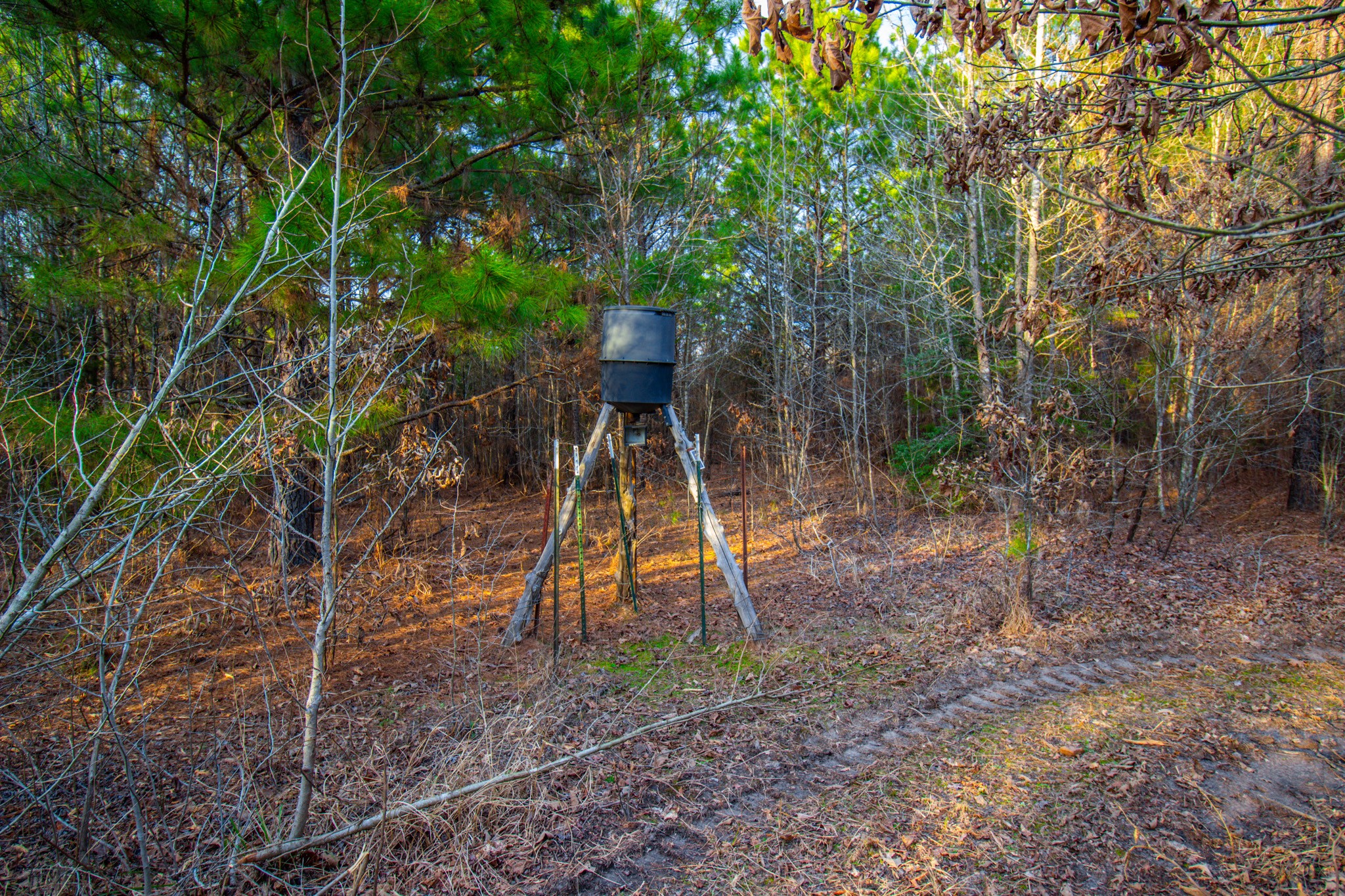 Tbd Mistletoe Road Gilmer TX 75644