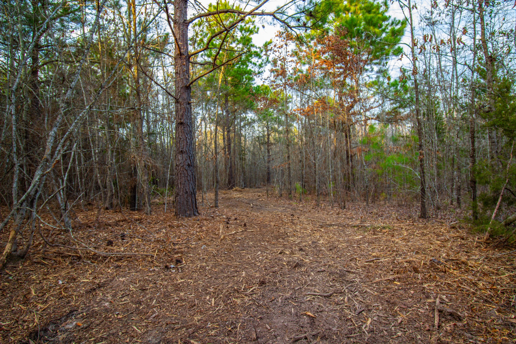 Tbd Mistletoe Road Gilmer TX 75644