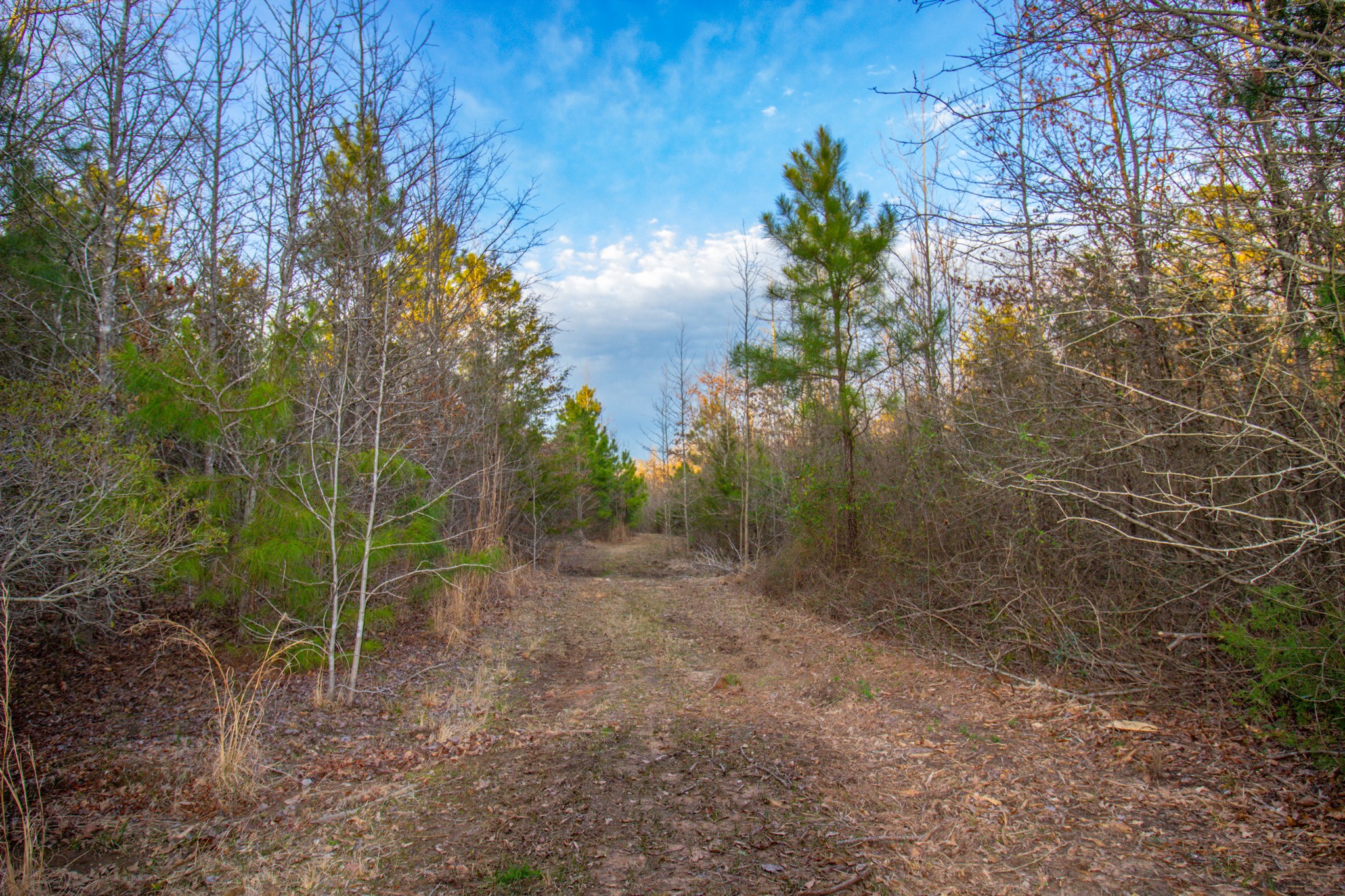 Tbd Mistletoe Road Gilmer TX 75644