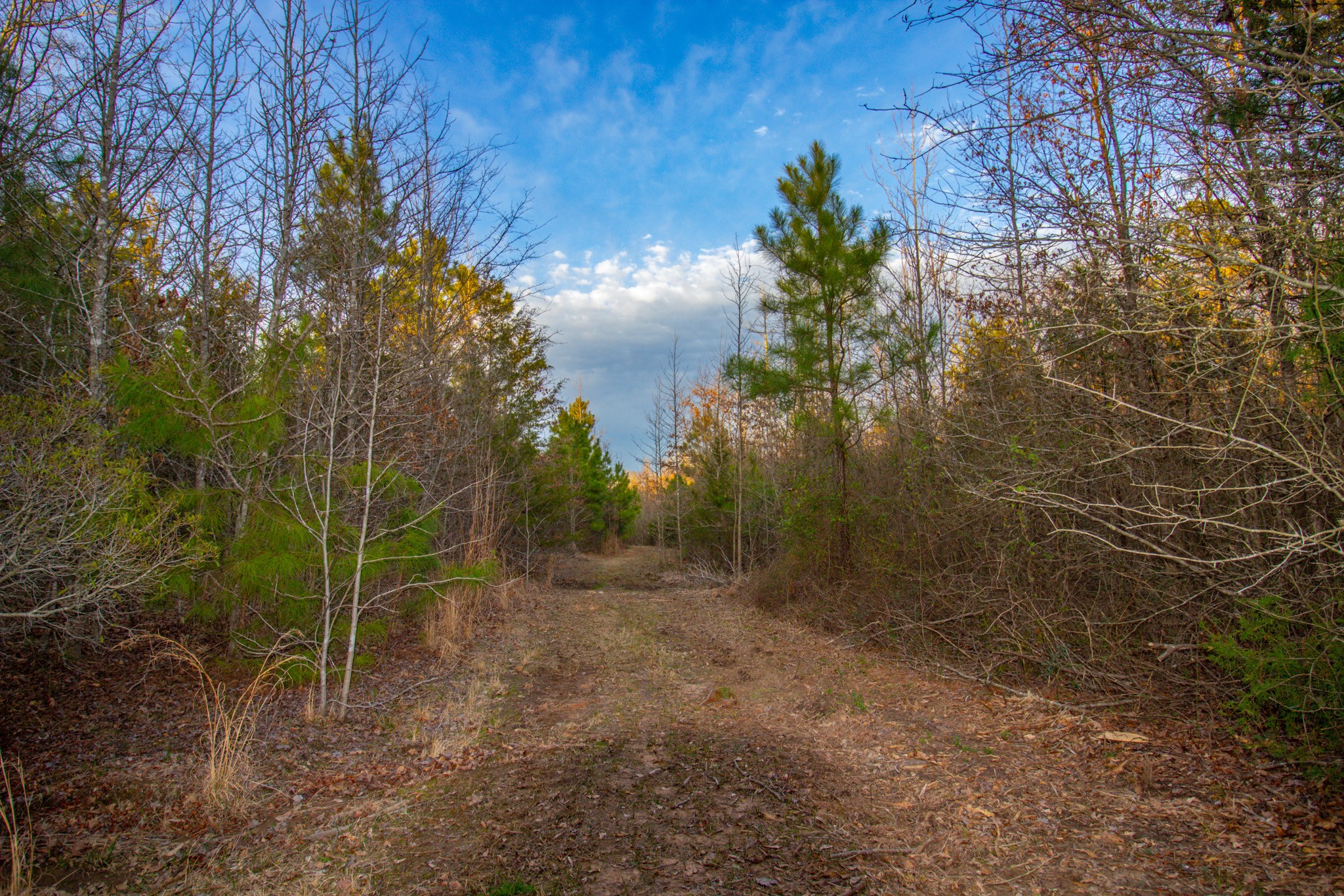 Tbd Mistletoe Road Gilmer TX 75644