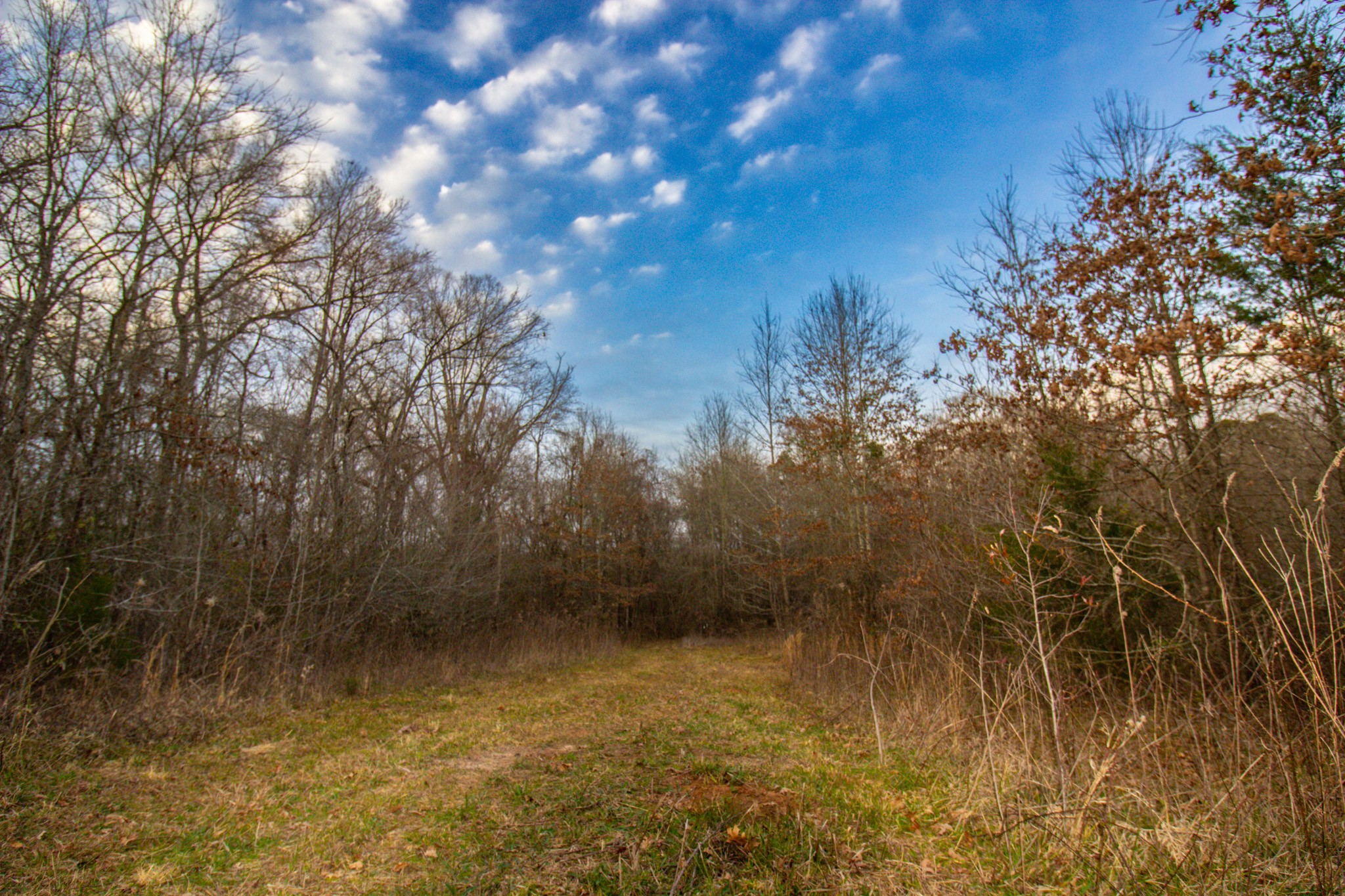 Tbd Mistletoe Road Gilmer TX 75644