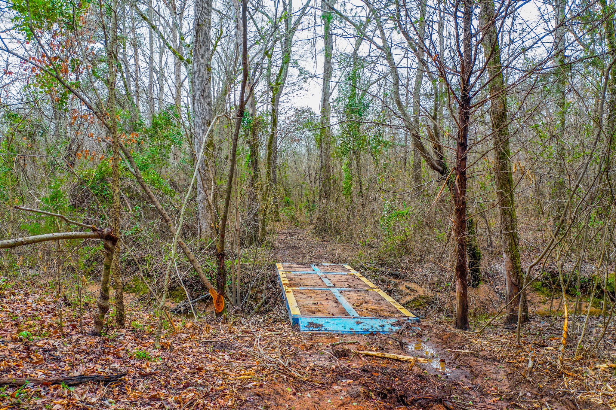 Tbd Mistletoe Road Gilmer TX 75644