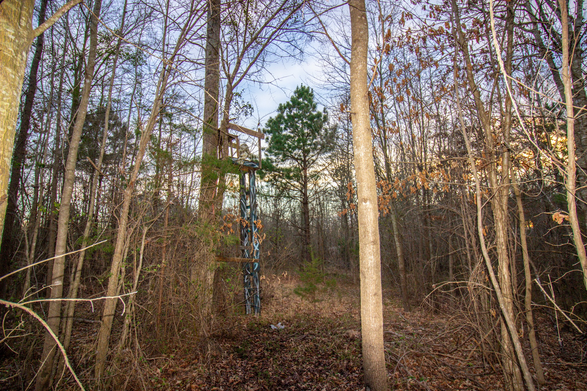Tbd Mistletoe Road Gilmer TX 75644
