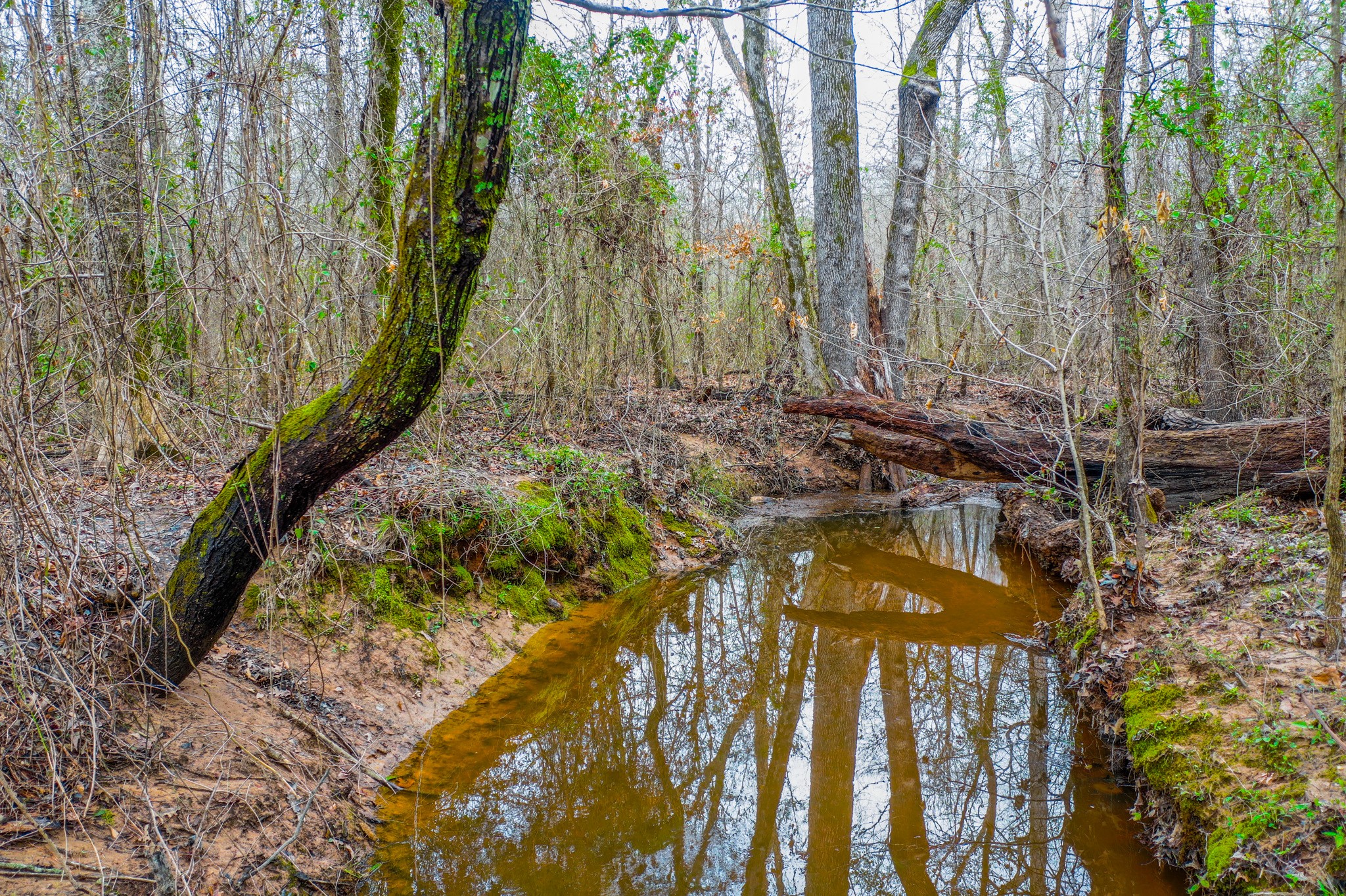 Tbd Mistletoe Road Gilmer TX 75644