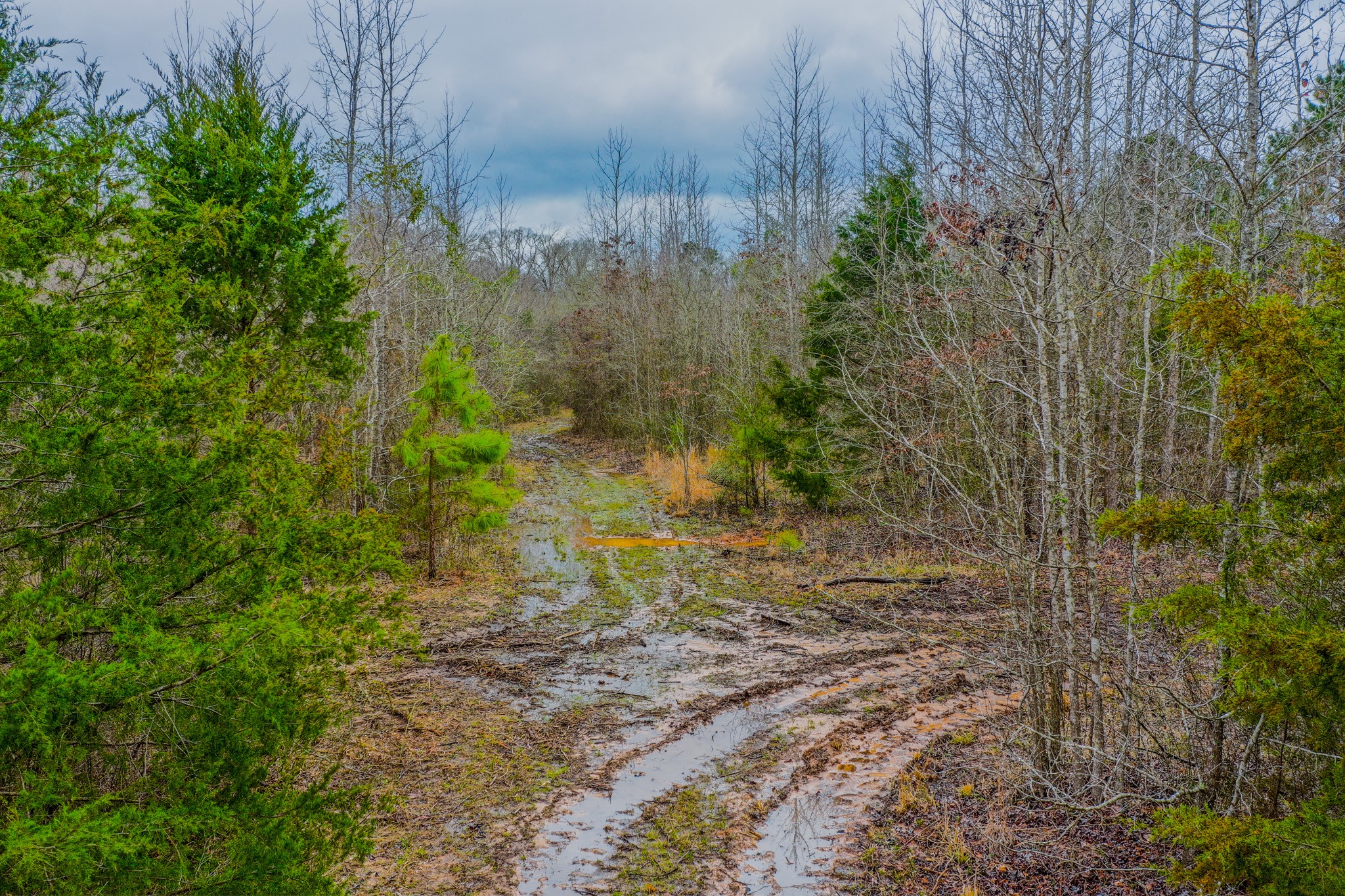 Tbd Mistletoe Road Gilmer TX 75644