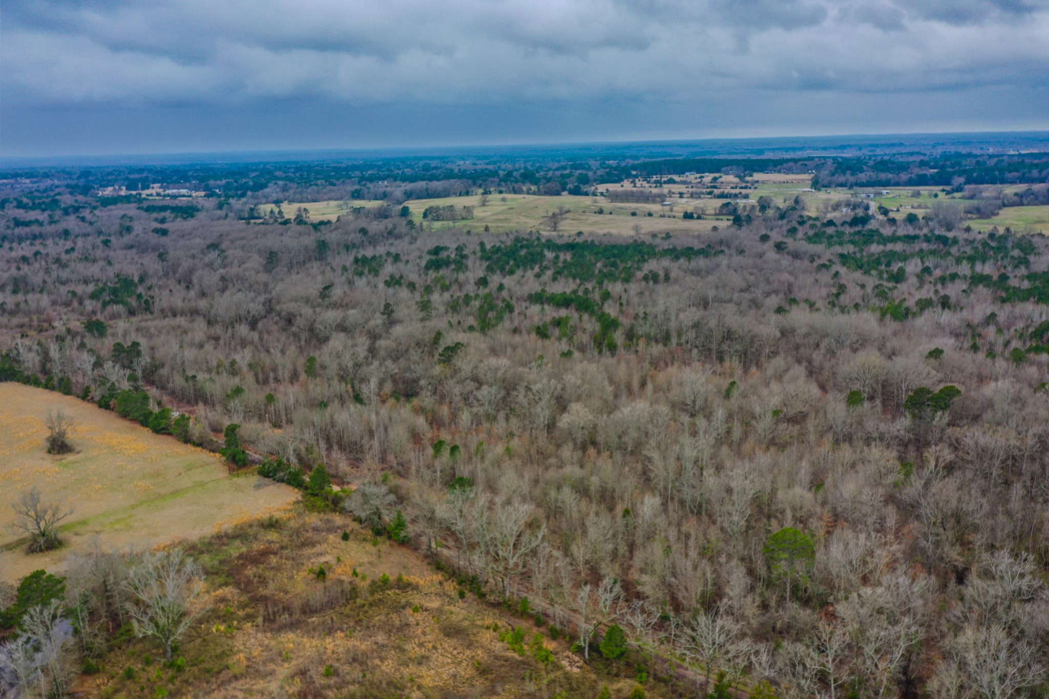 Tbd Mistletoe Road Gilmer TX 75644