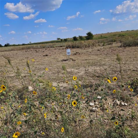 3305 Bounty Drive Granbury TX 76035