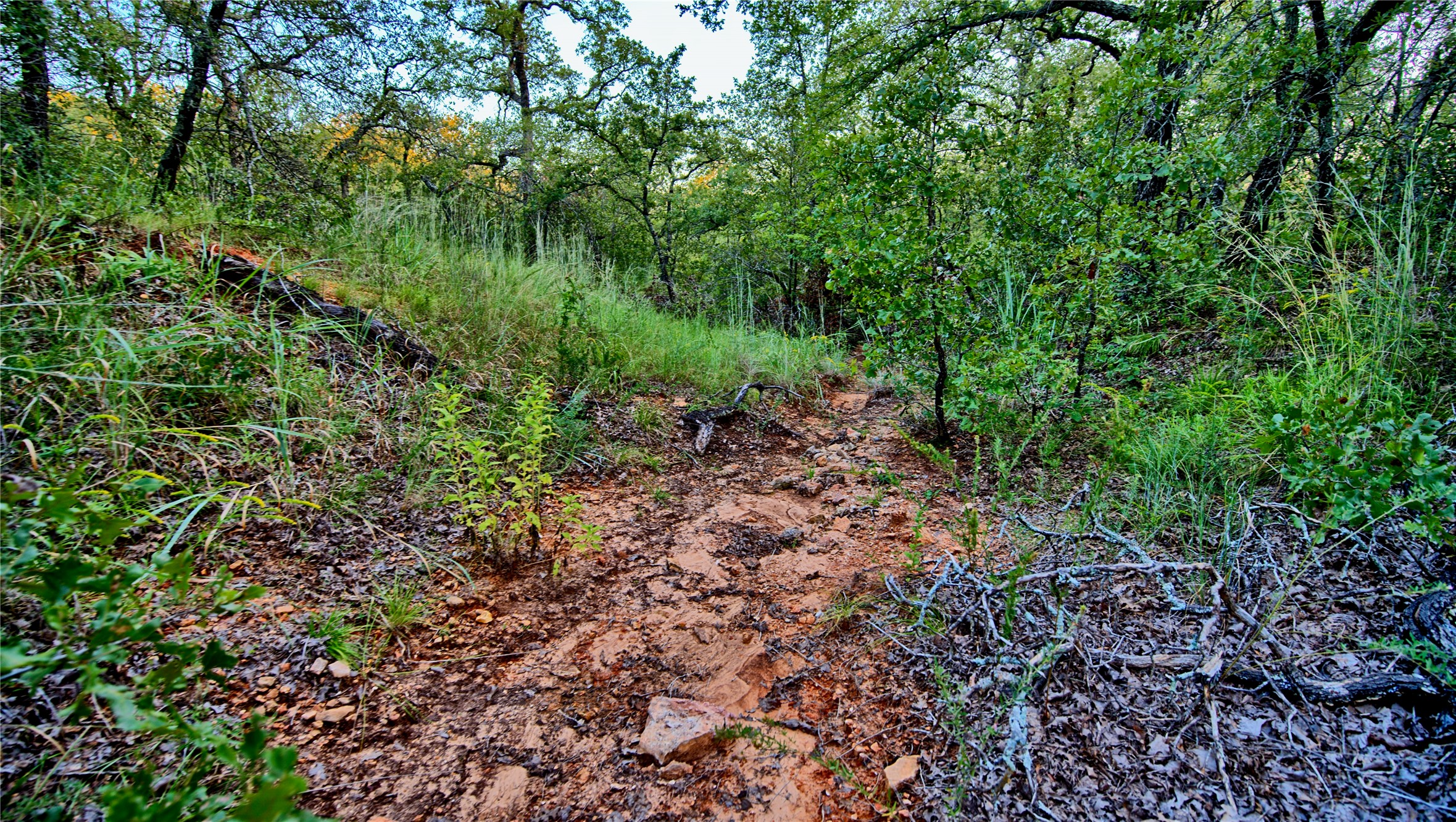 Lot 34 Red Oak Hills Road Nocona TX 76255