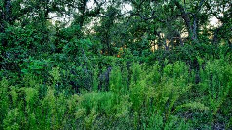 Lot 34 Red Oak Hills Road Nocona TX 76255