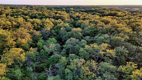Lot 34 Red Oak Hills Road Nocona TX 76255