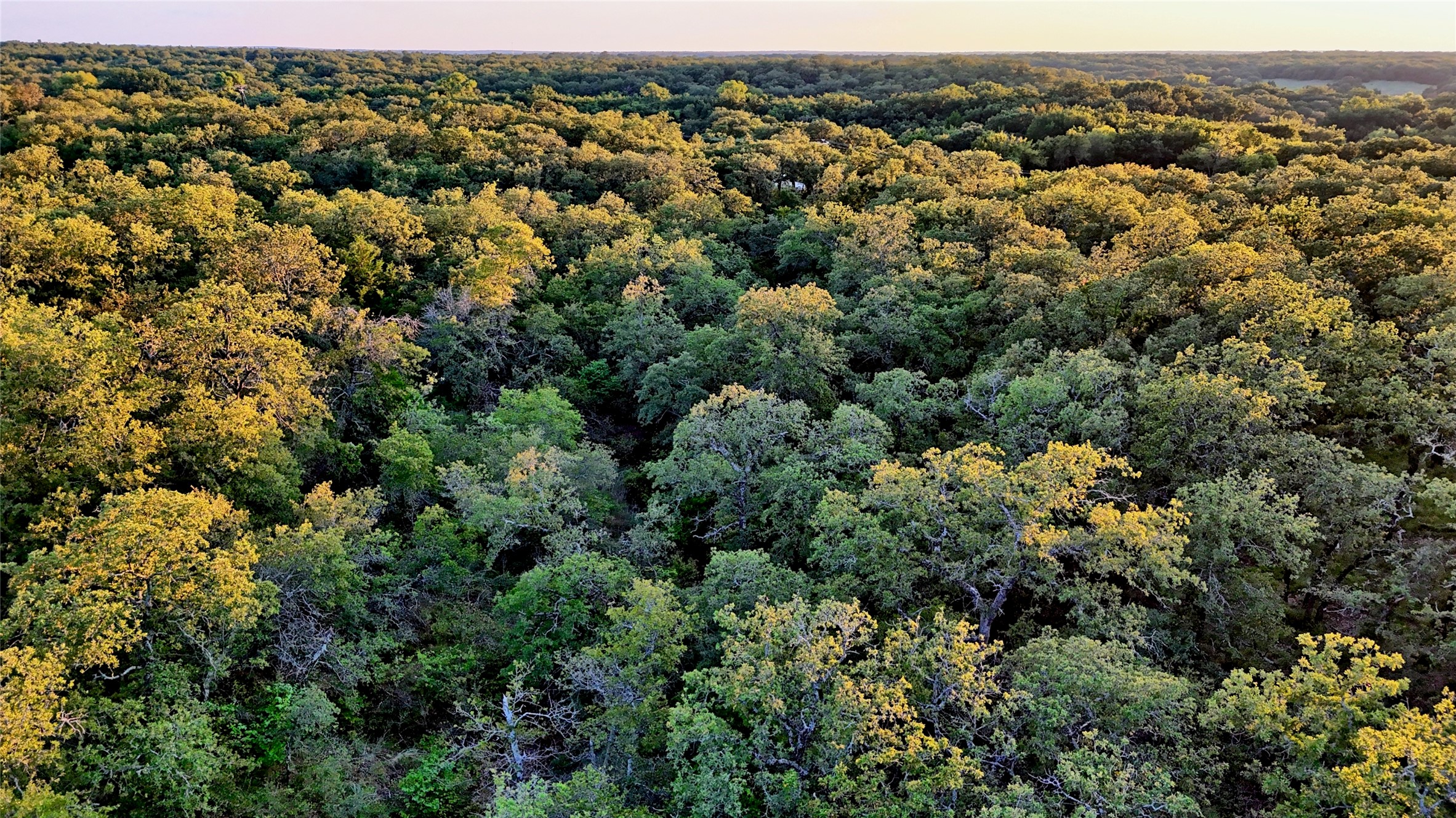 Lot 34 Red Oak Hills Road Nocona TX 76255