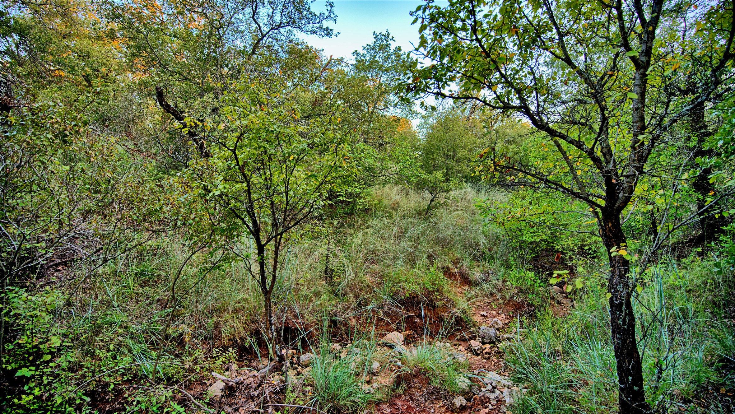 Lot 34 Red Oak Hills Road Nocona TX 76255