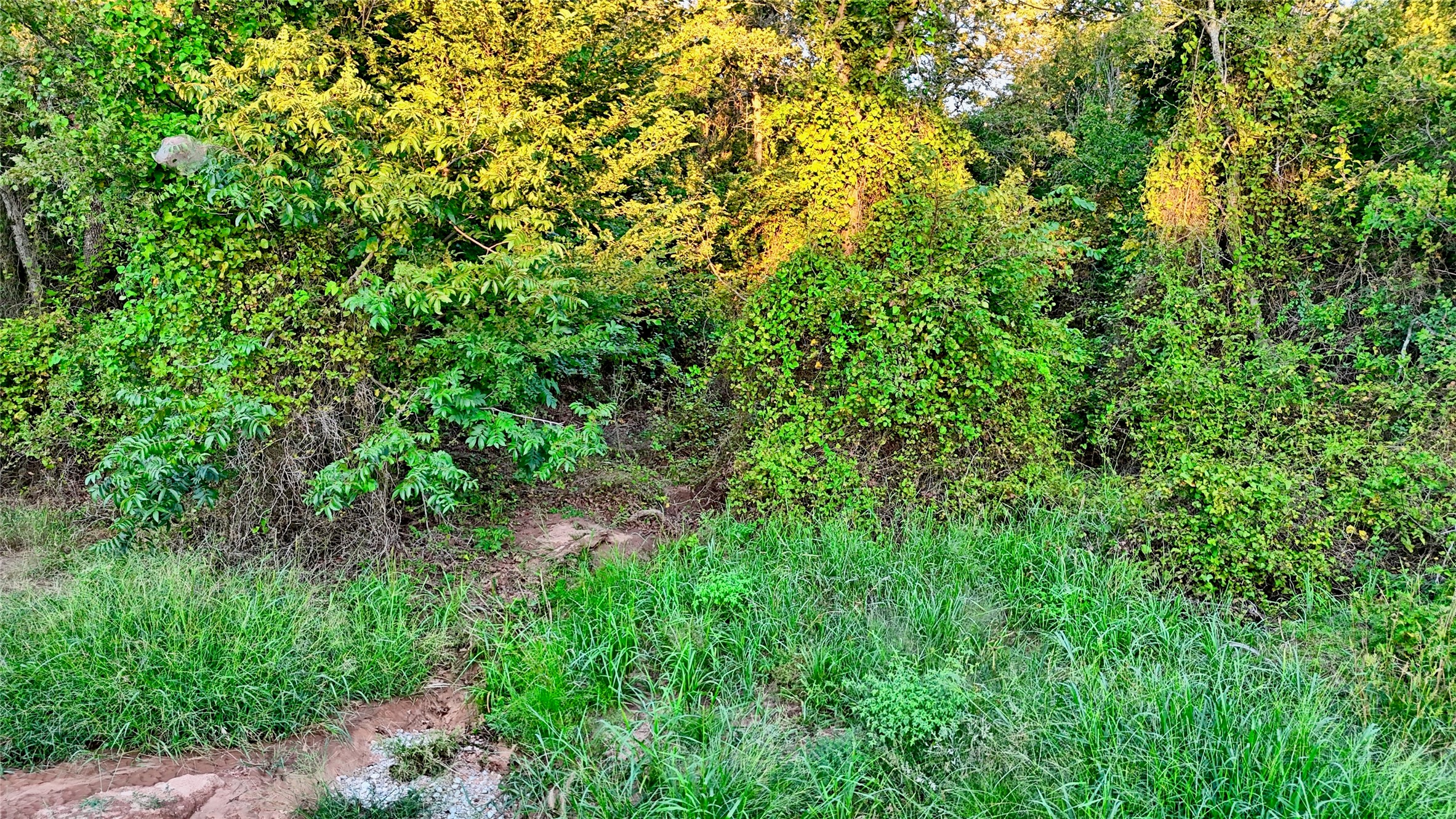 Lot 34 Red Oak Hills Road Nocona TX 76255