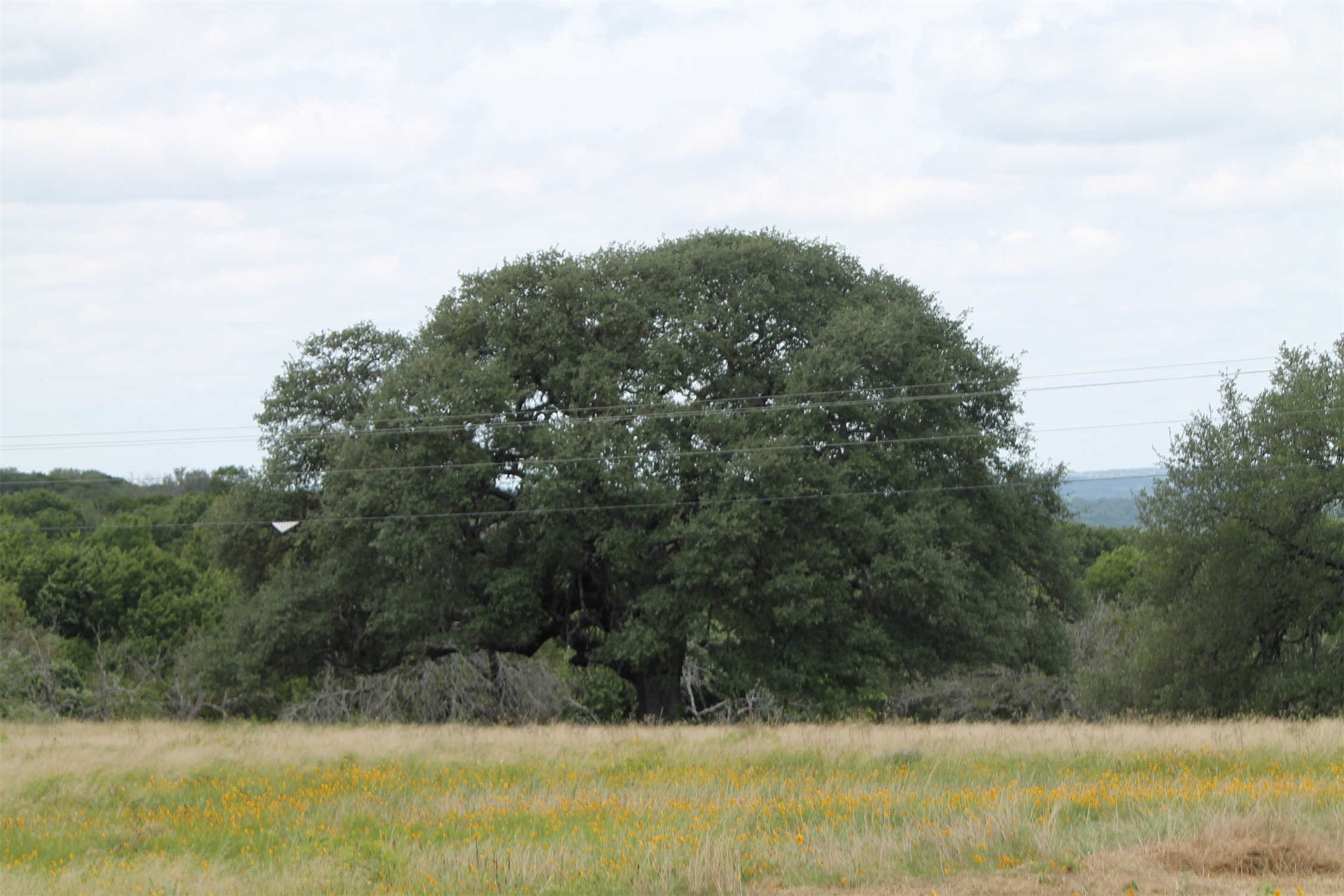 Tbd County Road 407 Glen Rose TX 76043