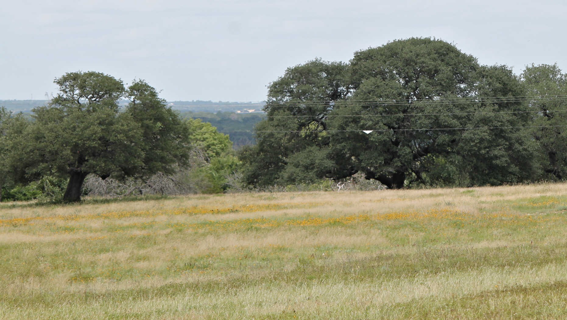 Tbd County Road 407 Glen Rose TX 76043