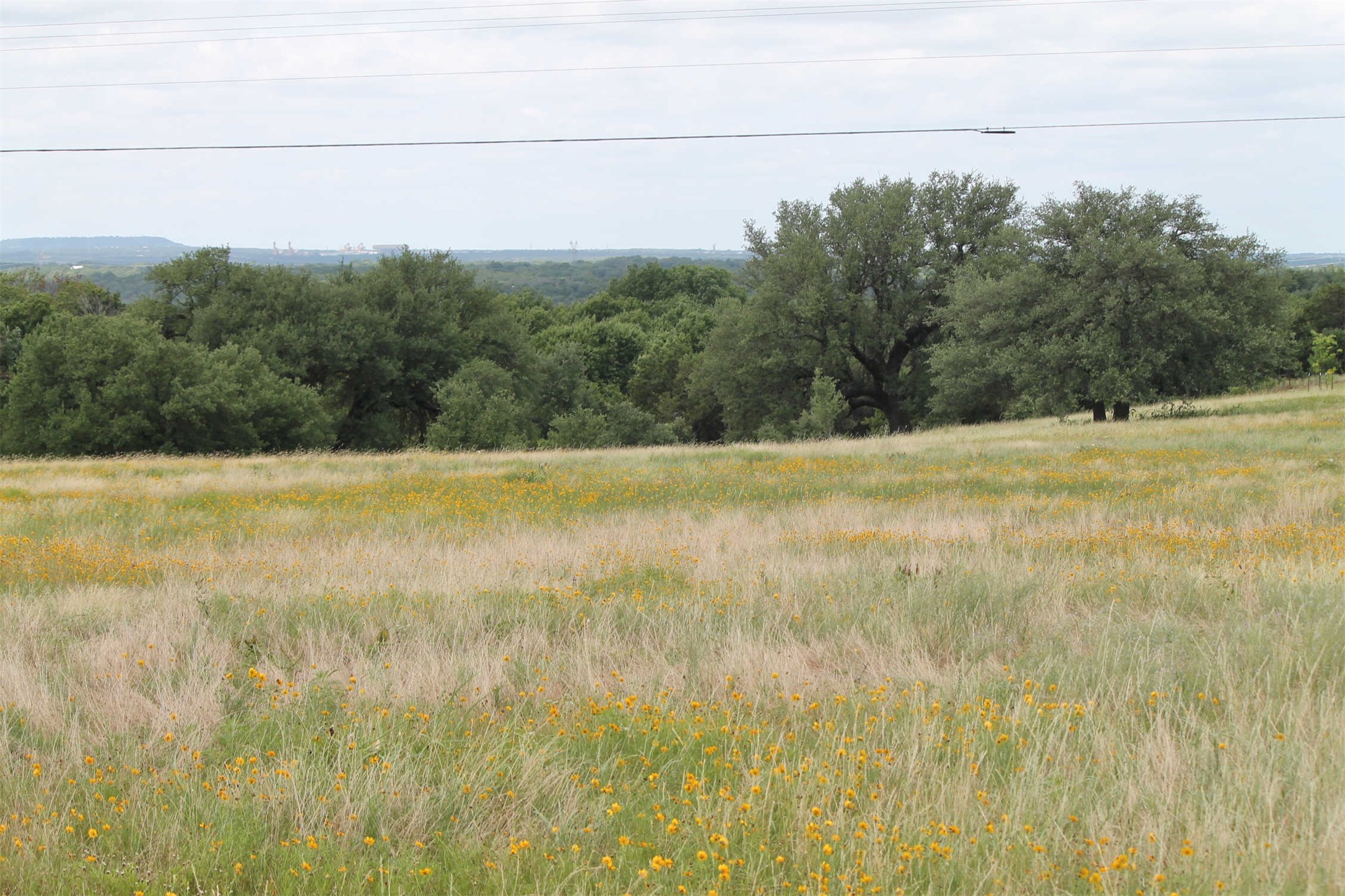 Tbd County Road 407 Glen Rose TX 76043