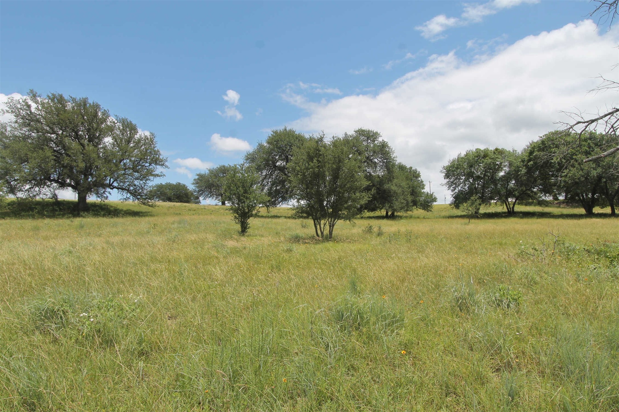 Tbd County Road 407 Glen Rose TX 76043