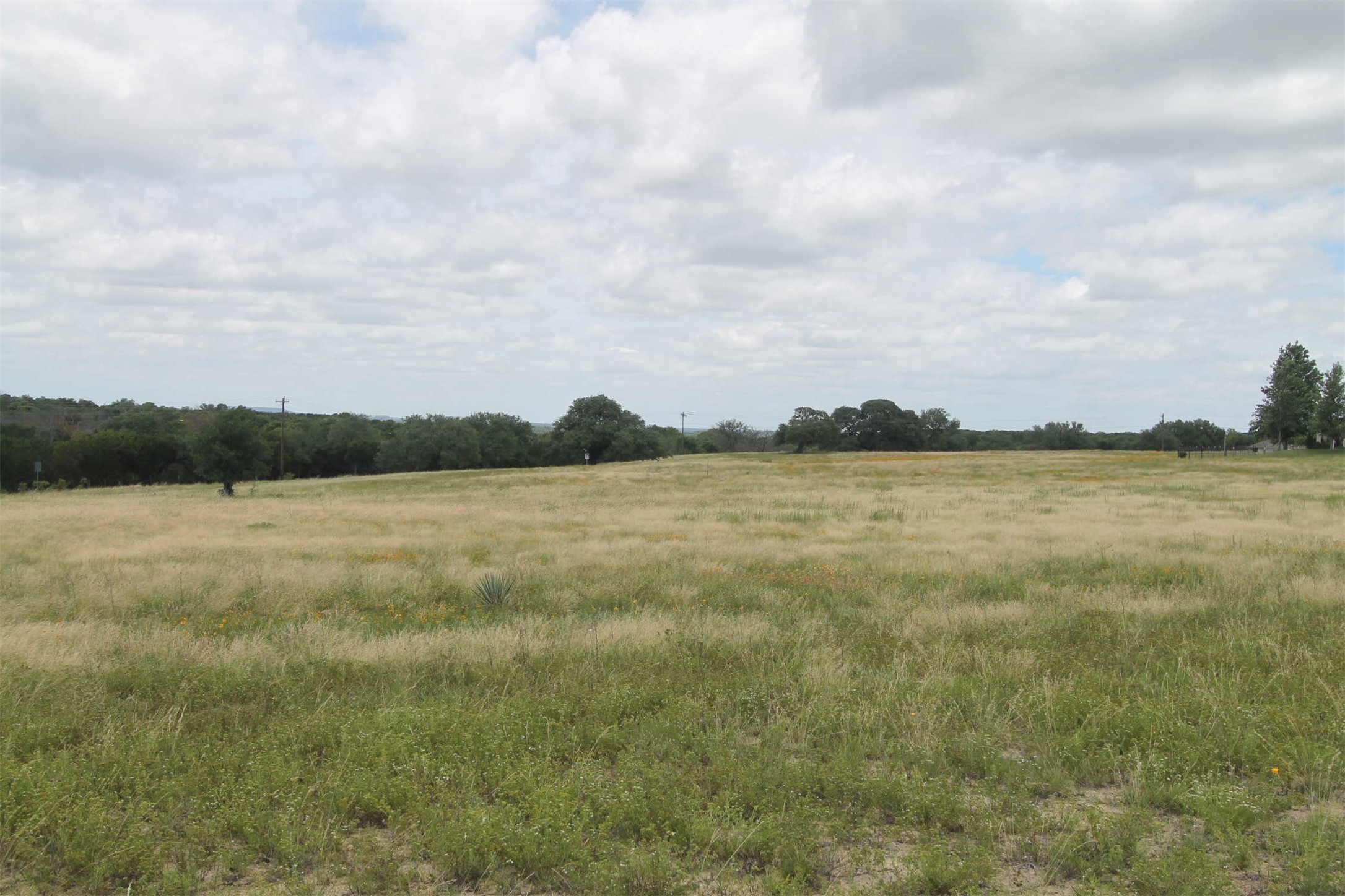 Tbd County Road 407 Glen Rose TX 76043