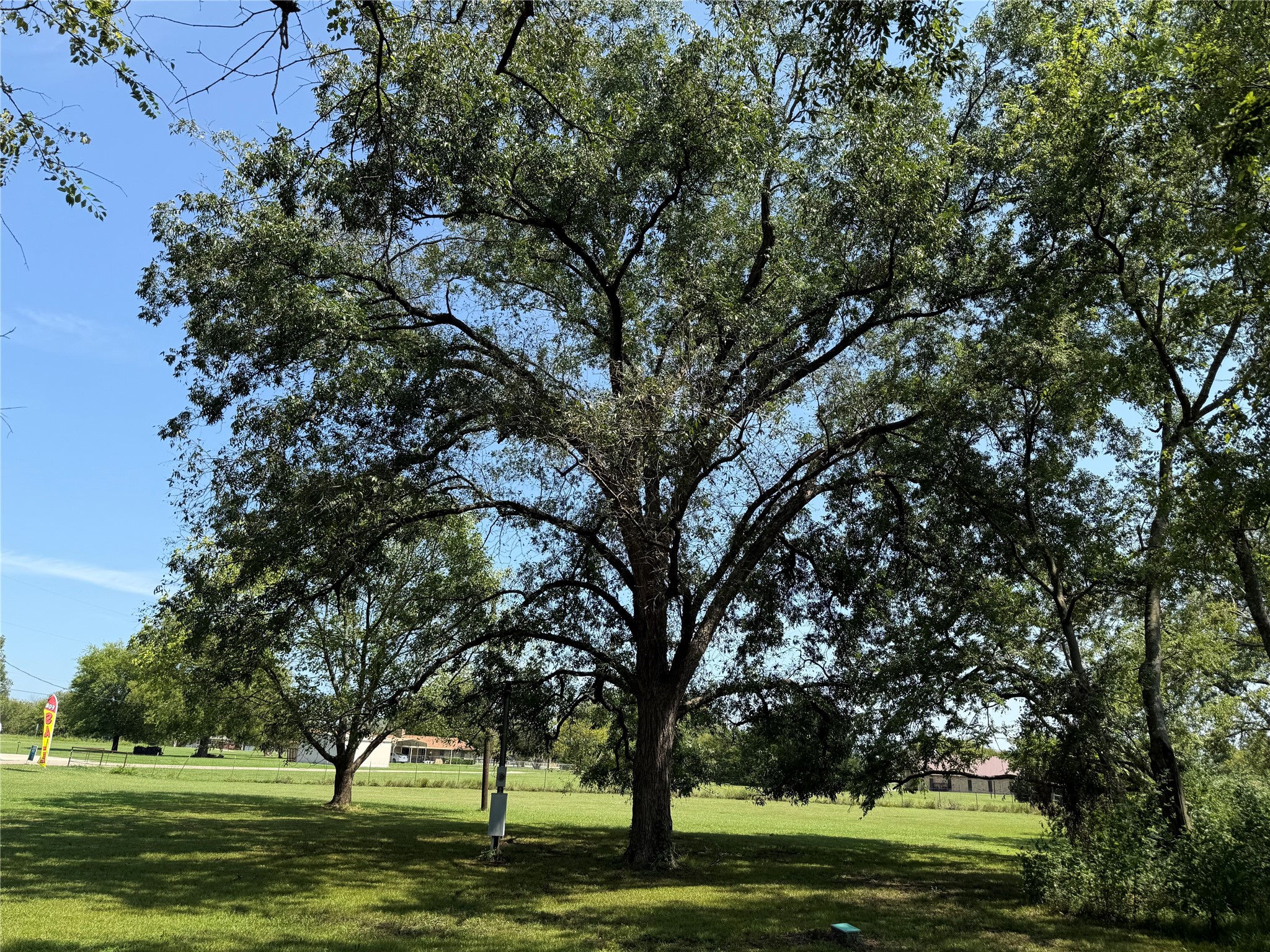 1049 Industrial Boulevard Point TX 75472