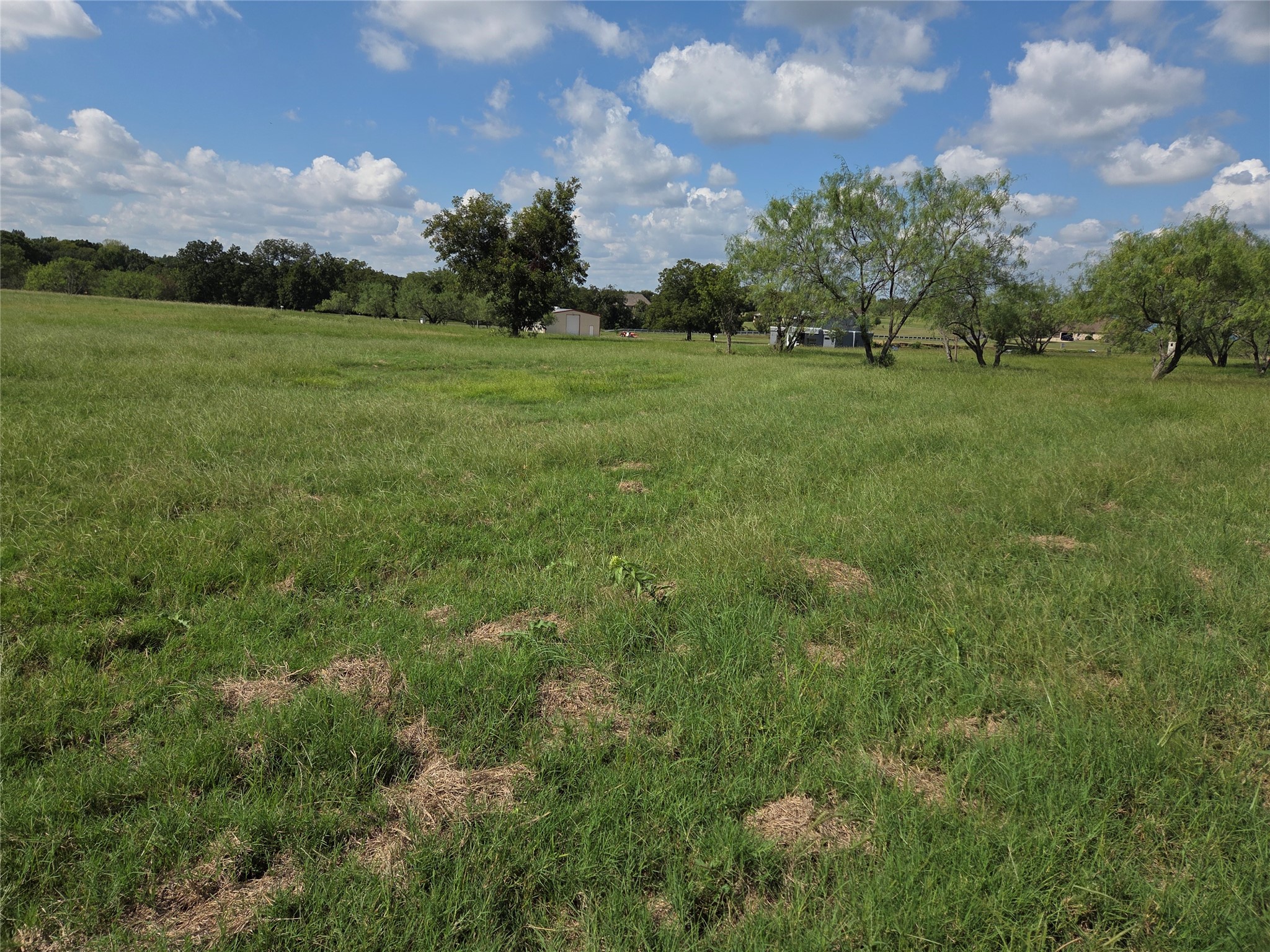 Lot 130 Lake Vista Drive Streetman TX 75859