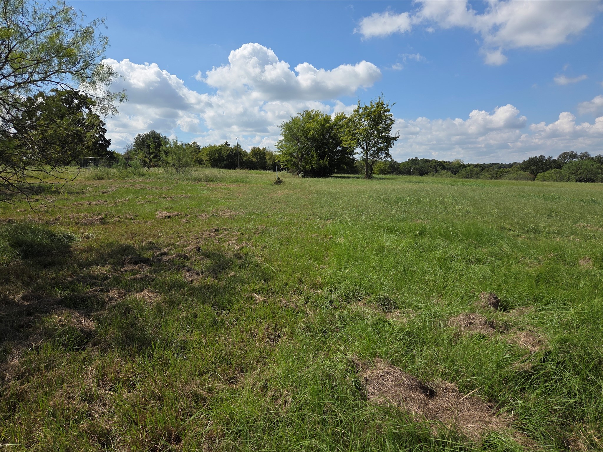 Lot 130 Lake Vista Drive Streetman TX 75859