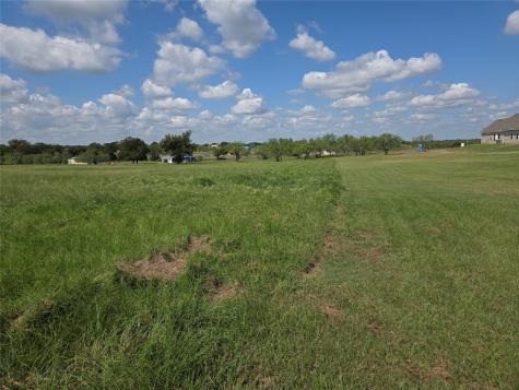 Lot 130 Lake Vista Drive Streetman TX 75859