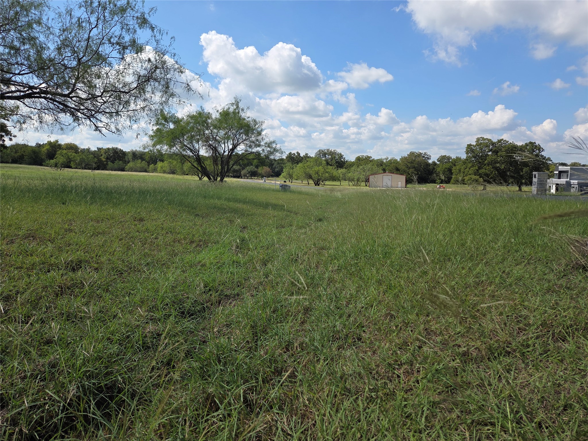 Lot 130 Lake Vista Drive Streetman TX 75859