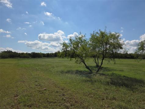Lot 130 Lake Vista Drive Streetman TX 75859