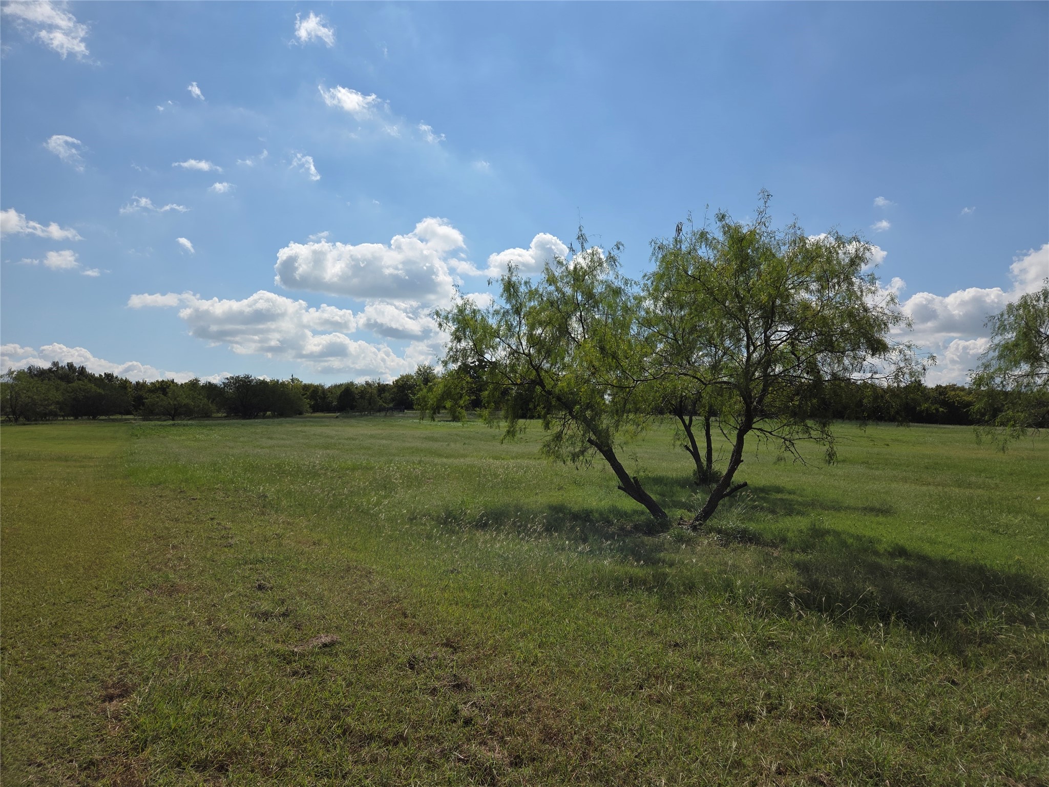 Lot 130 Lake Vista Drive Streetman TX 75859