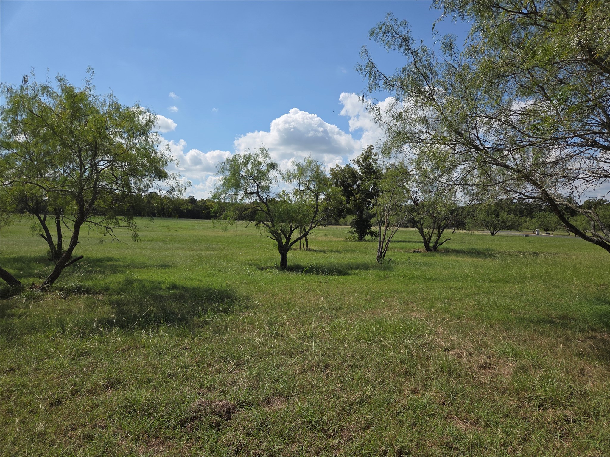 Lot 130 Lake Vista Drive Streetman TX 75859