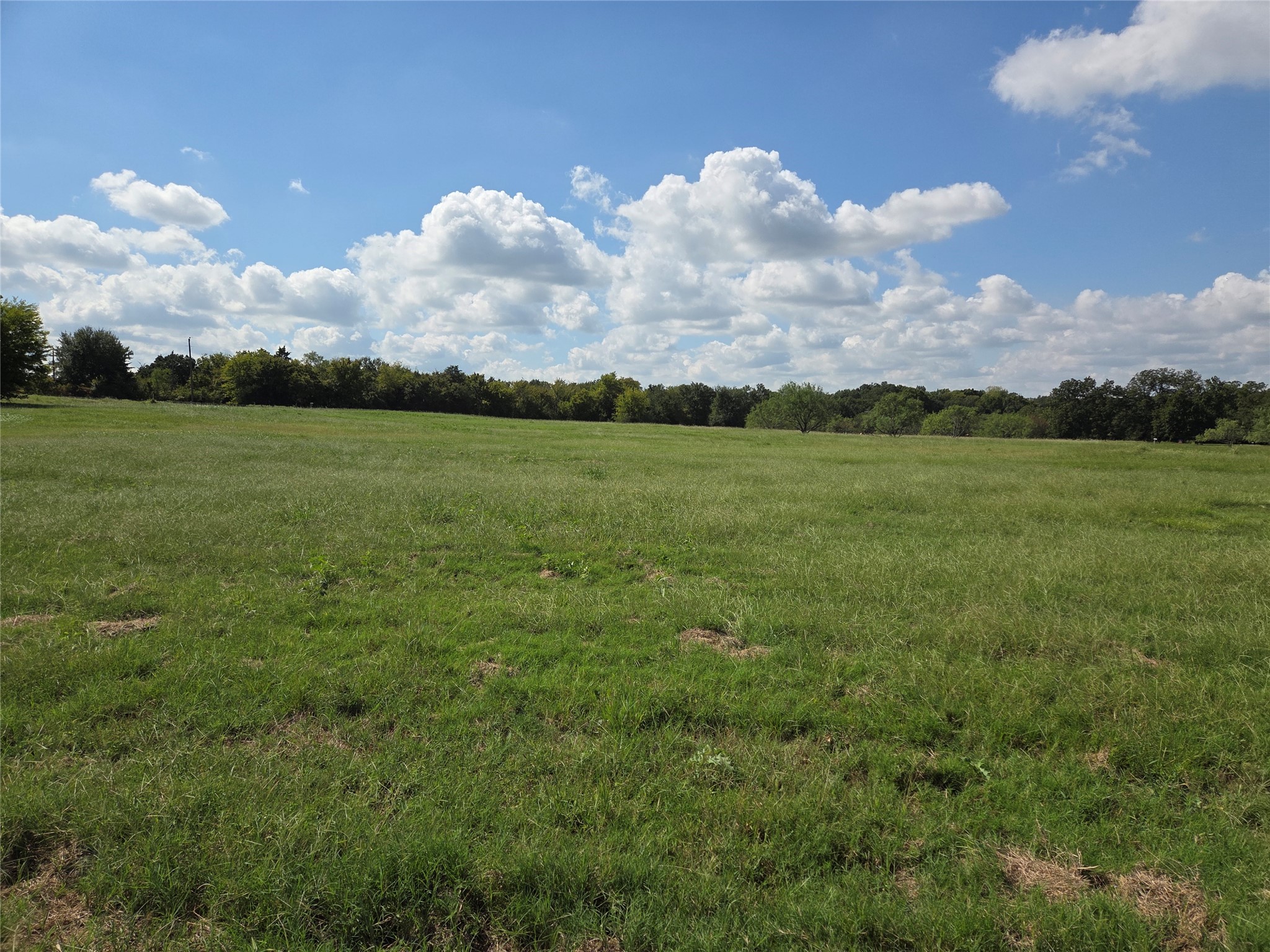 Lot 130 Lake Vista Drive Streetman TX 75859