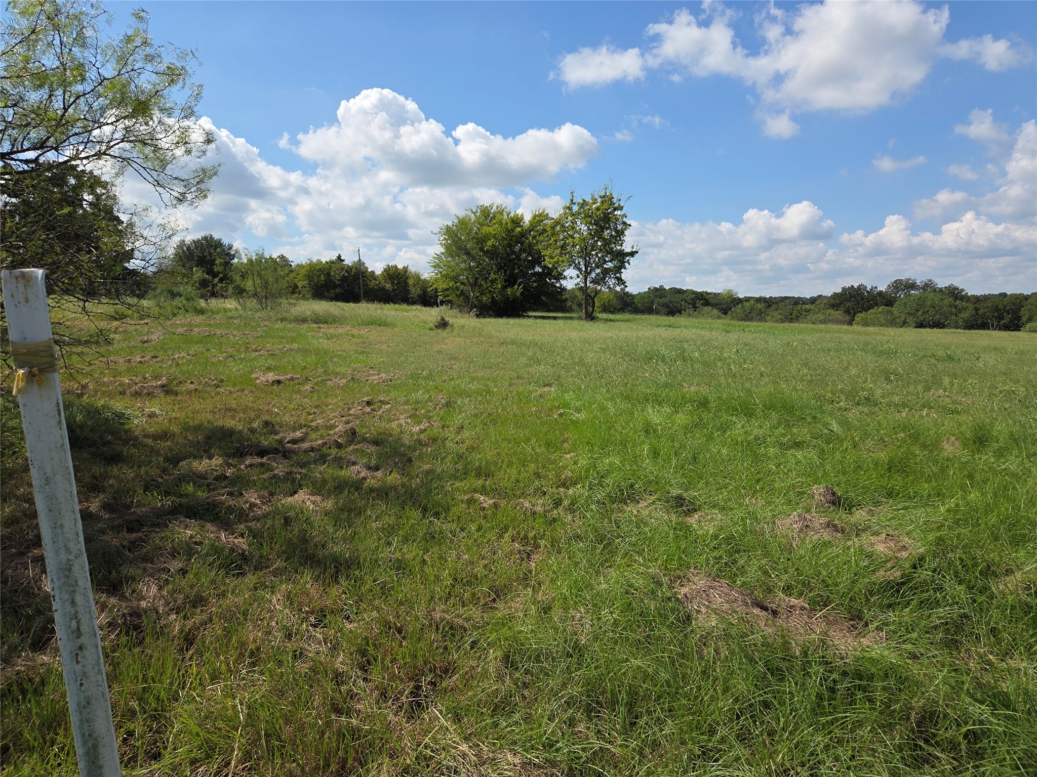 Lot 130 Lake Vista Drive Streetman TX 75859